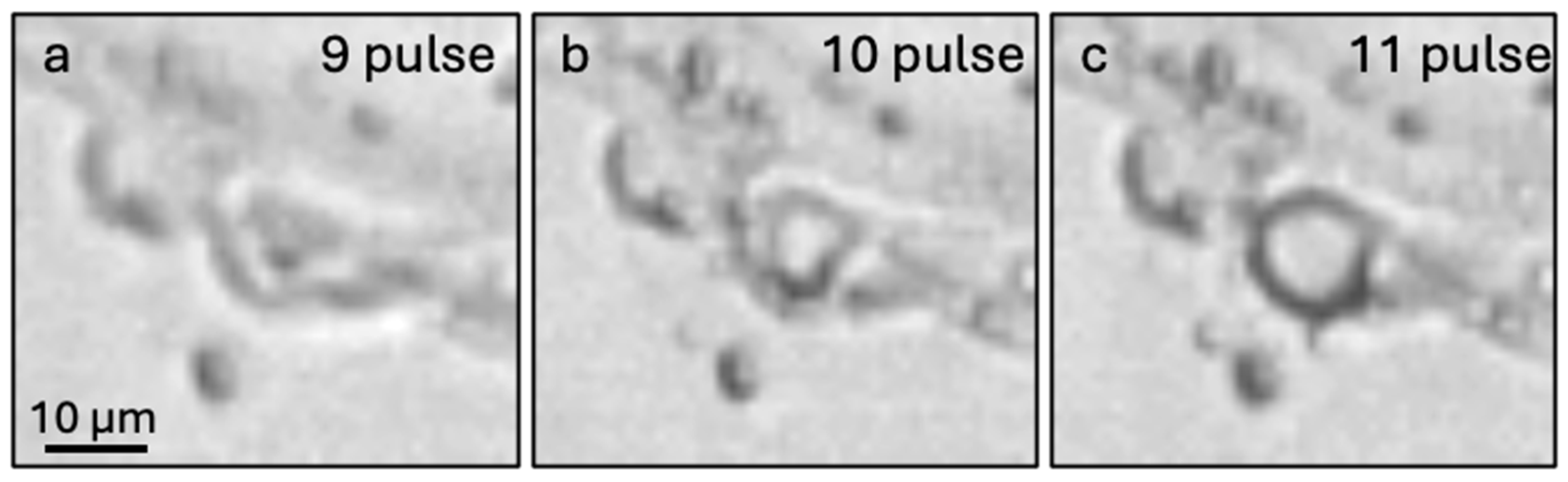 Crystals 15 00315 g005