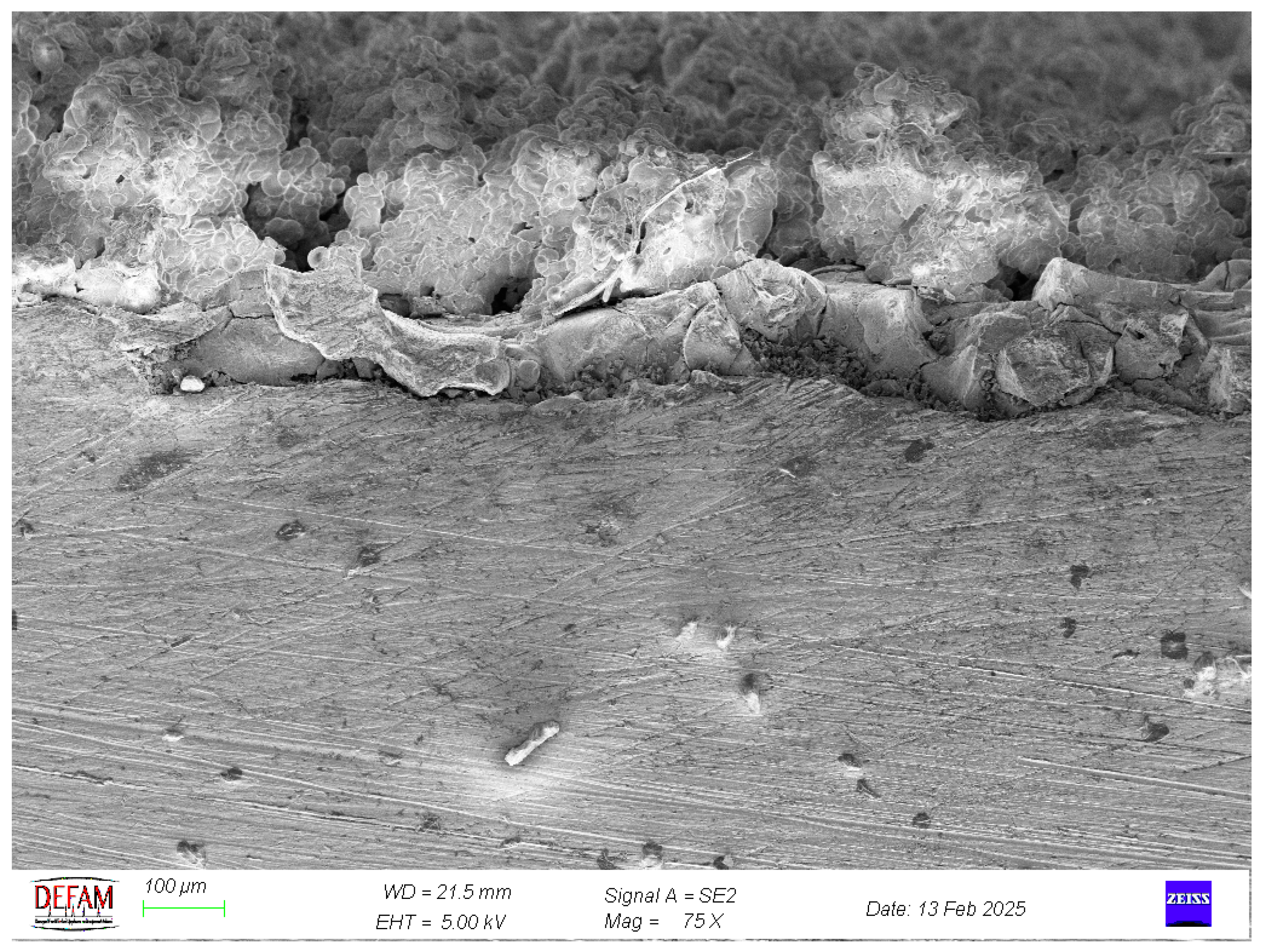 Crystals 15 00316 g001