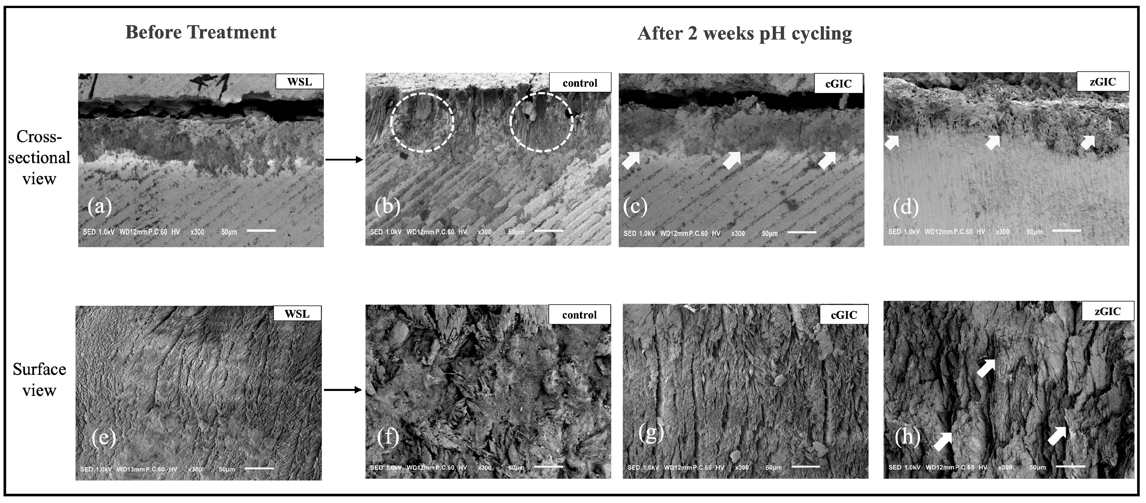 Crystals 15 00329 g005
