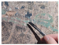 Crystals 15 00339 i005 Crystals 15 00339 i005