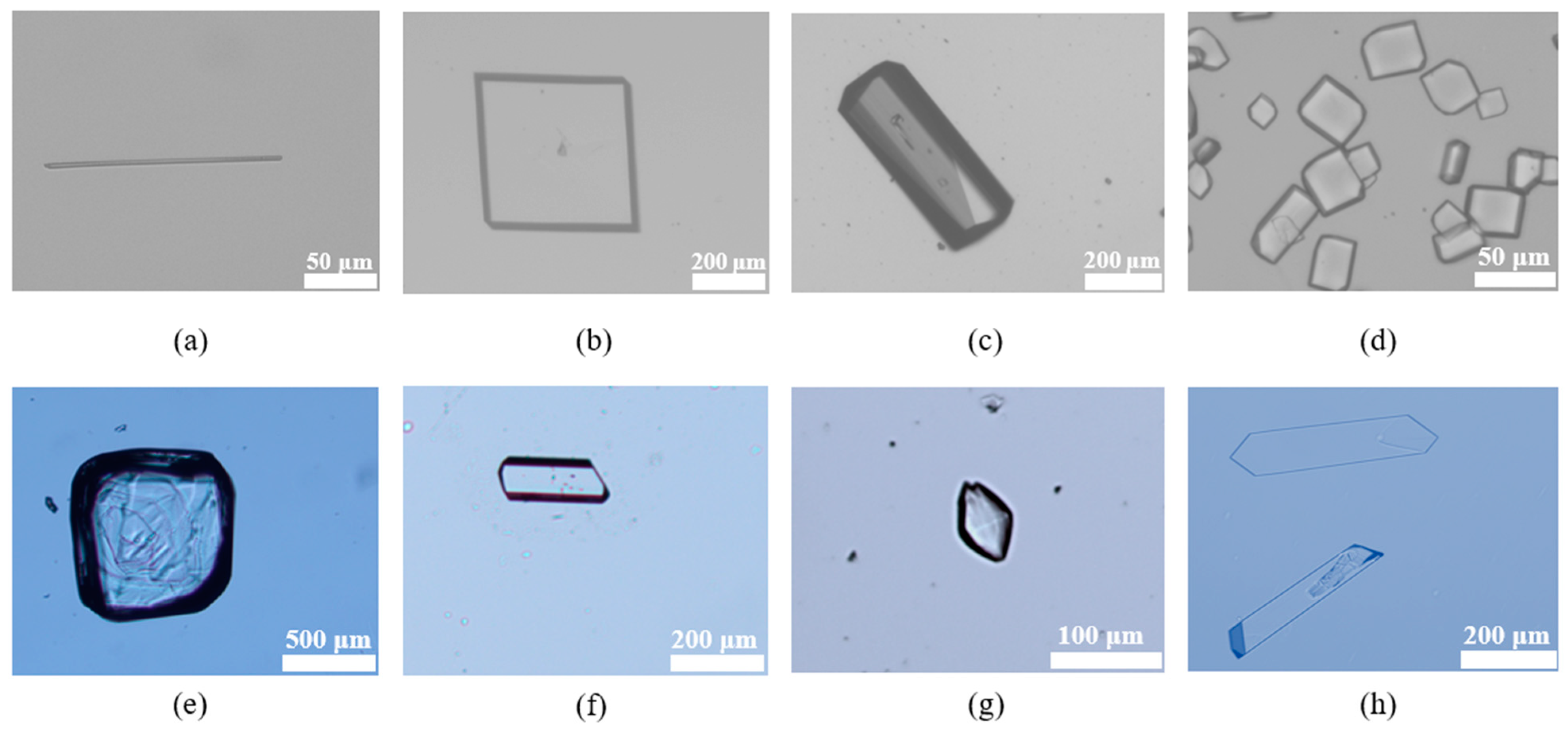 Crystals 15 00342 g014