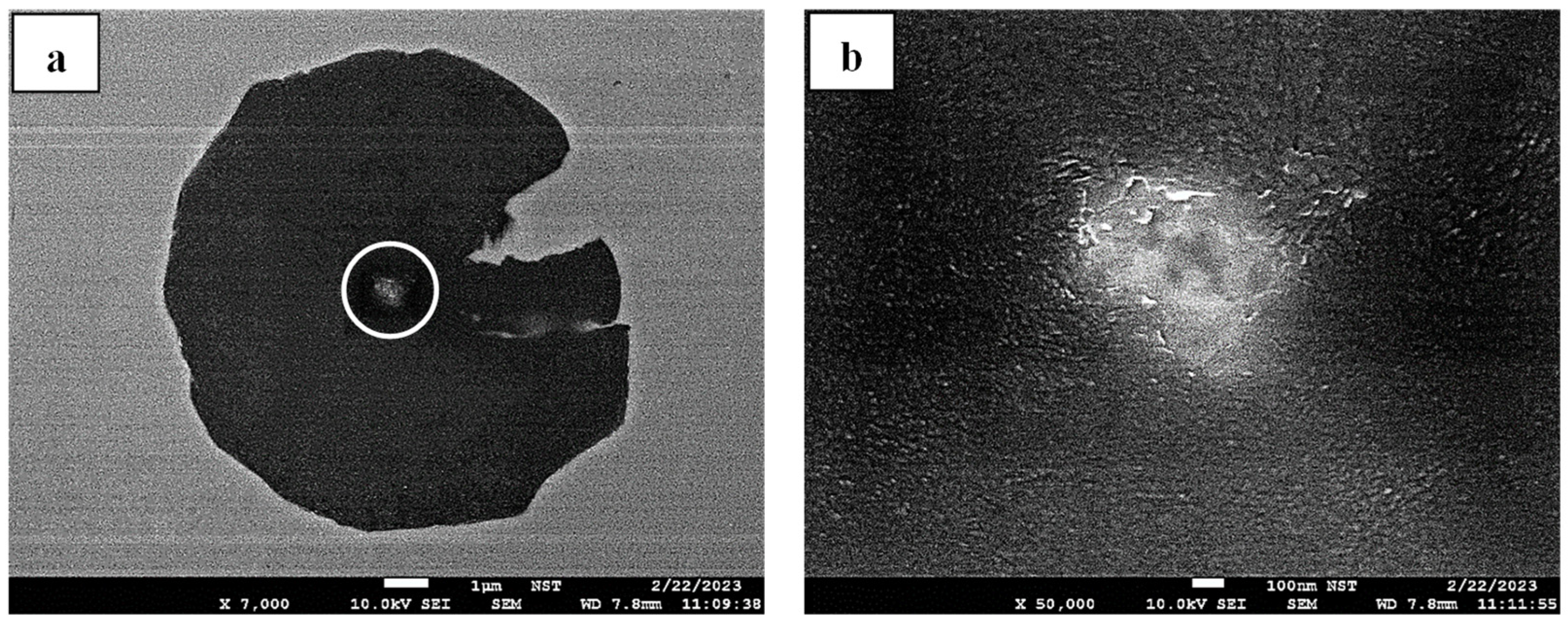 Crystals 15 00347 g008