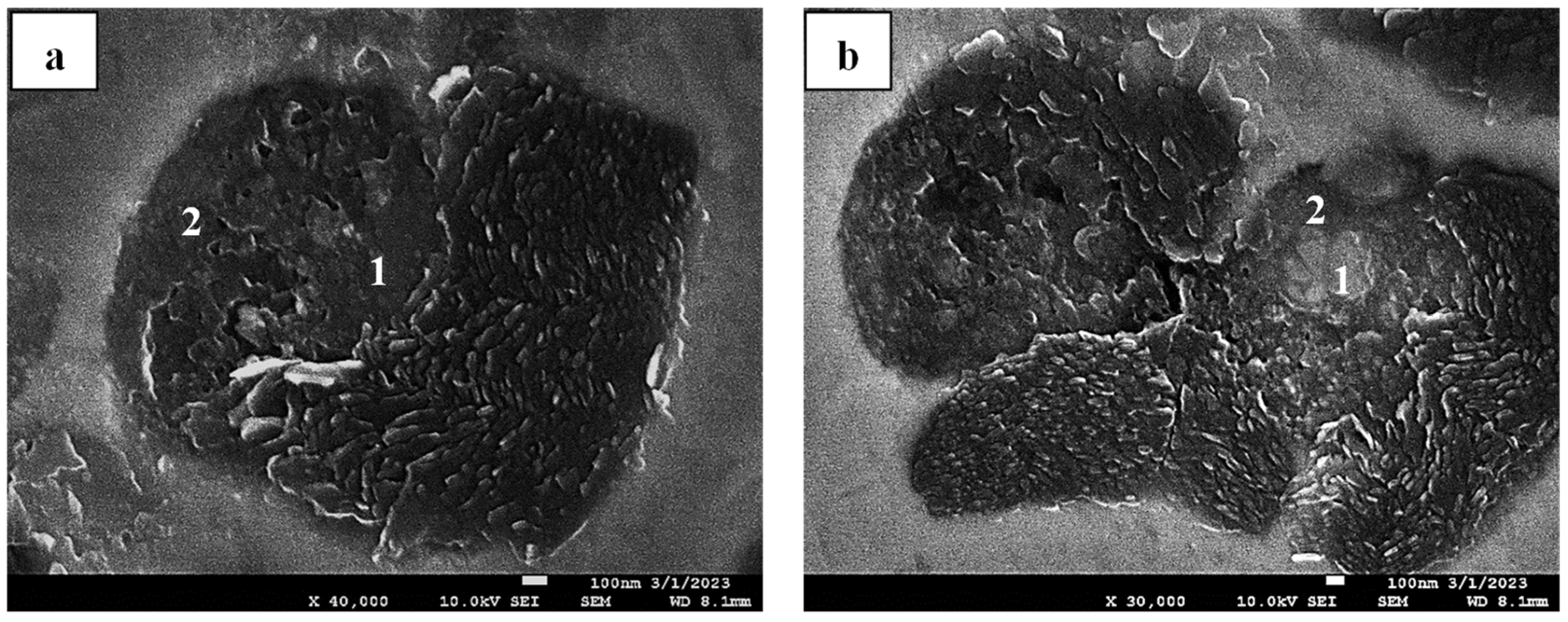 Crystals 15 00347 g009