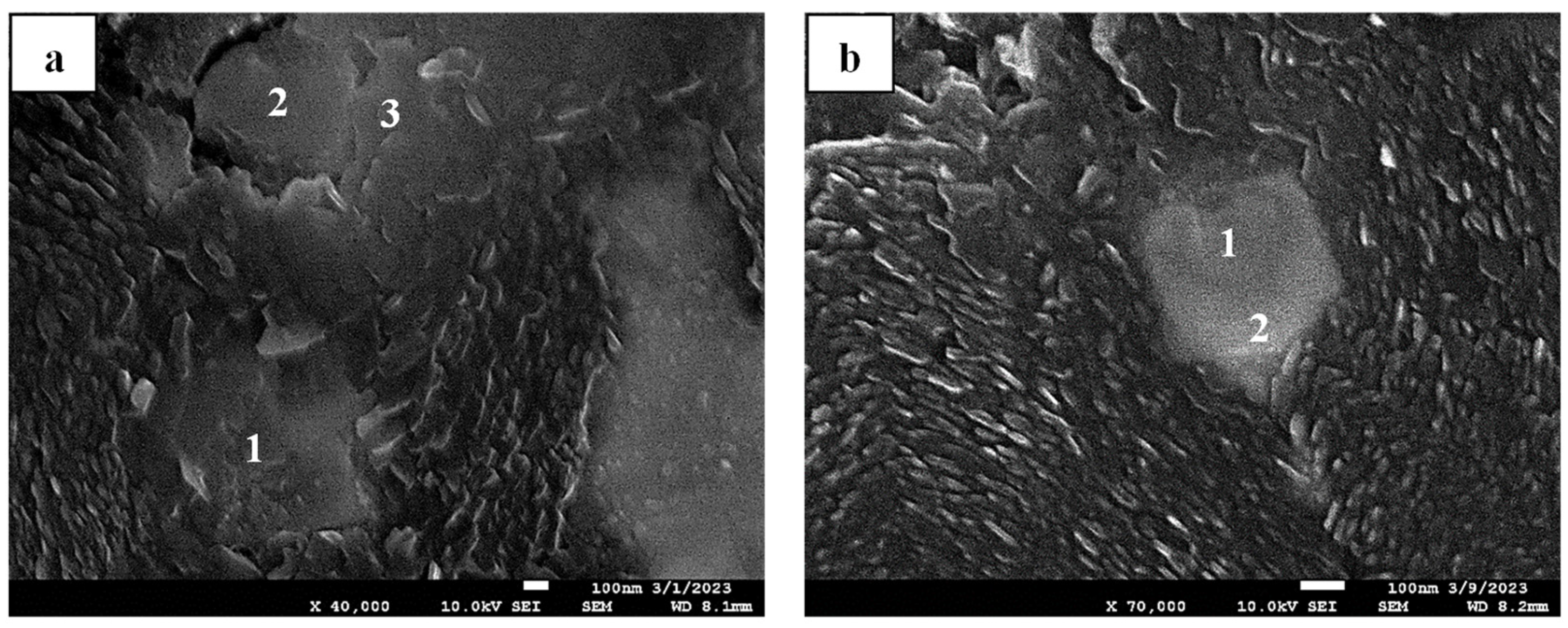 Crystals 15 00347 g010