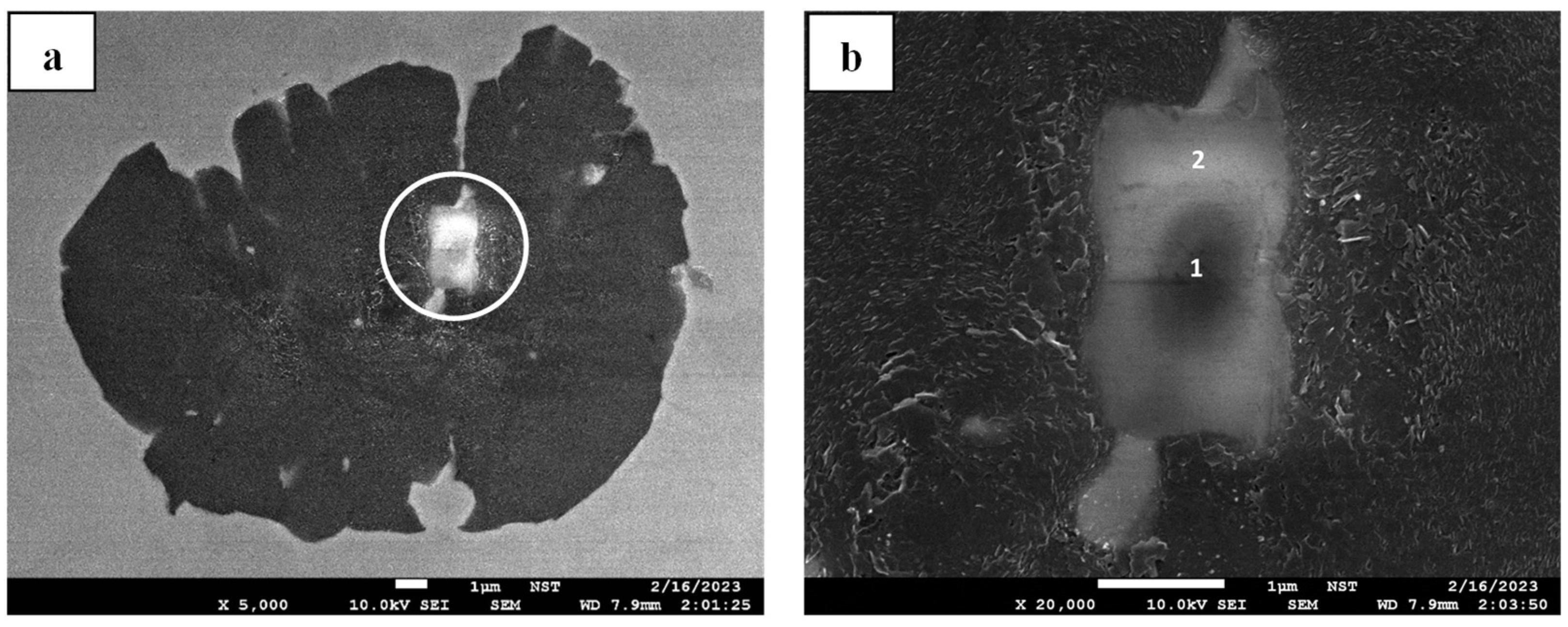 Crystals 15 00347 g012