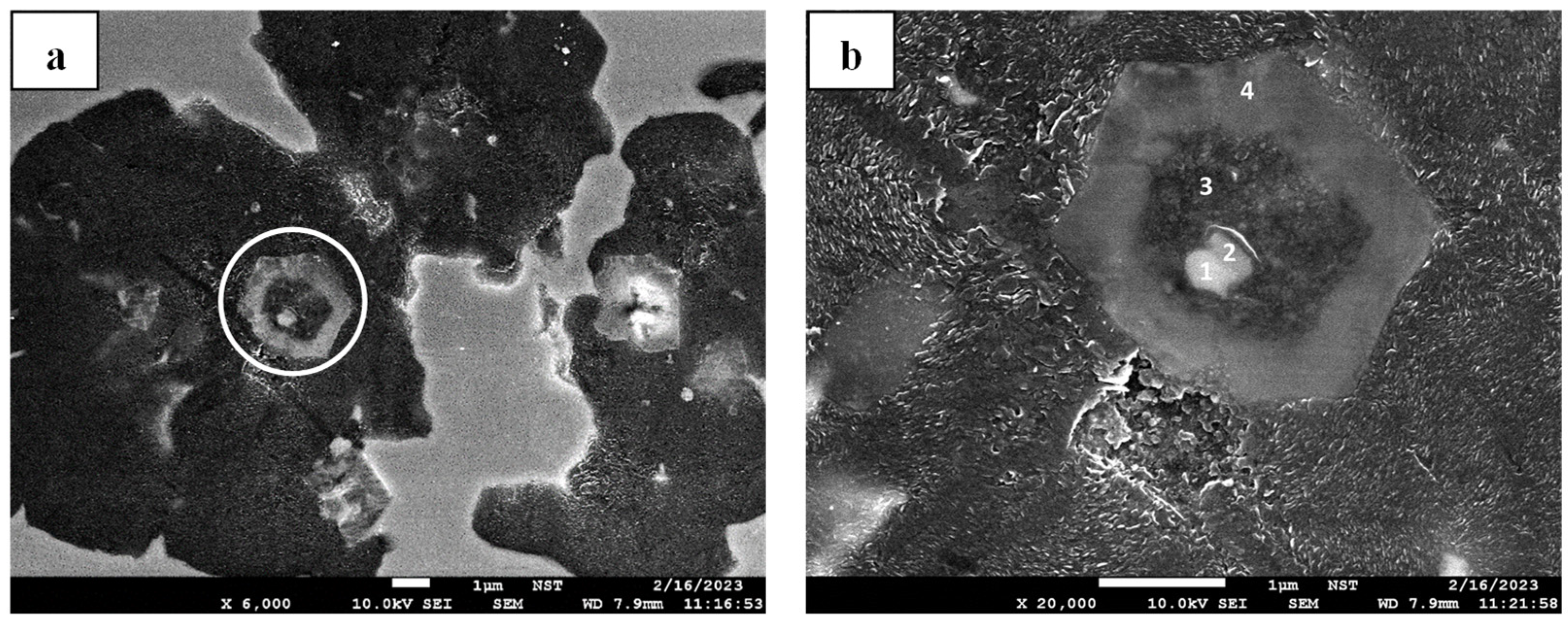 Crystals 15 00347 g013