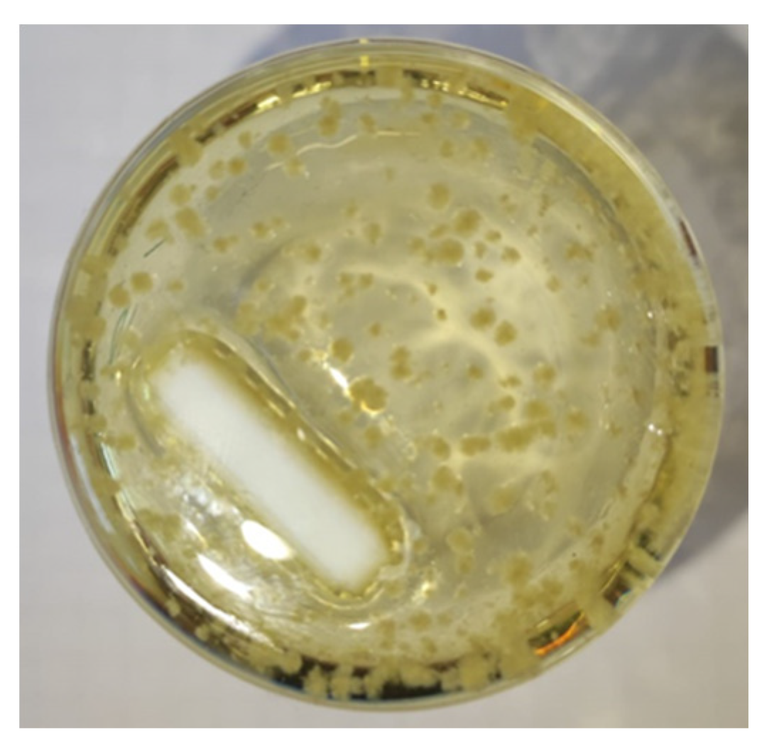 Crystals 15 00350 g005