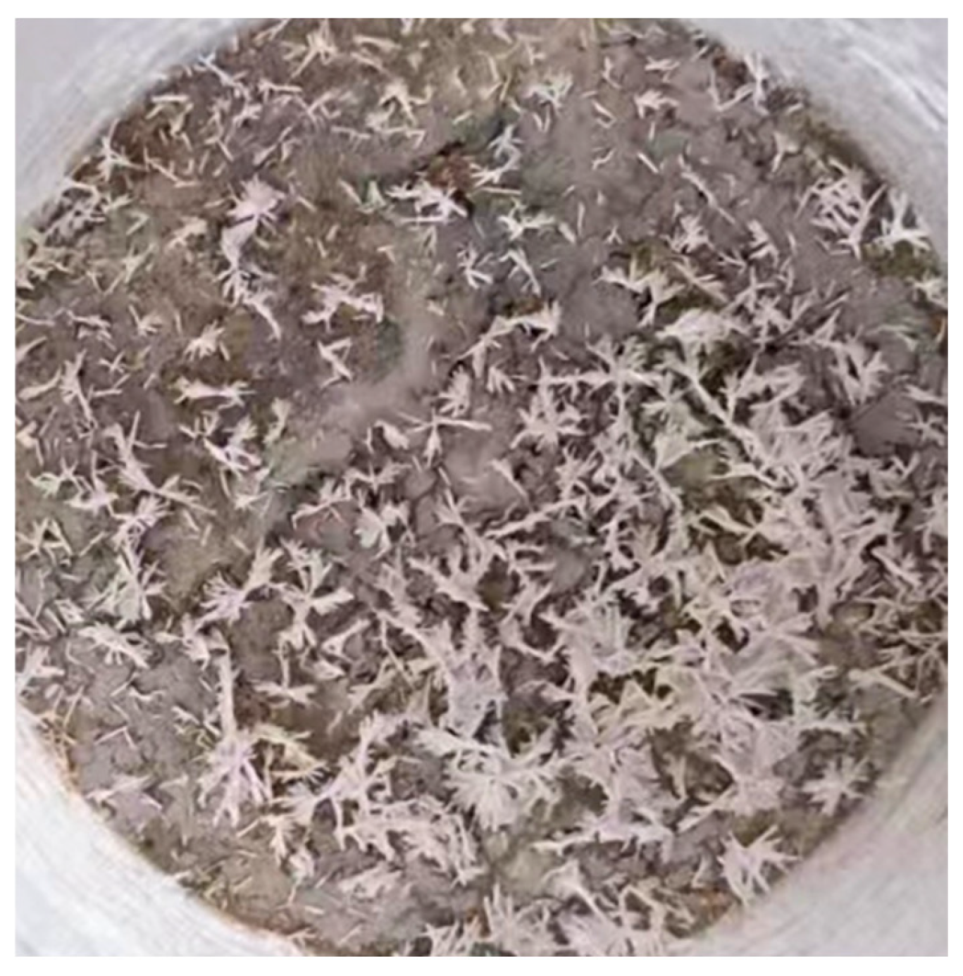 Crystals 15 00366 g007