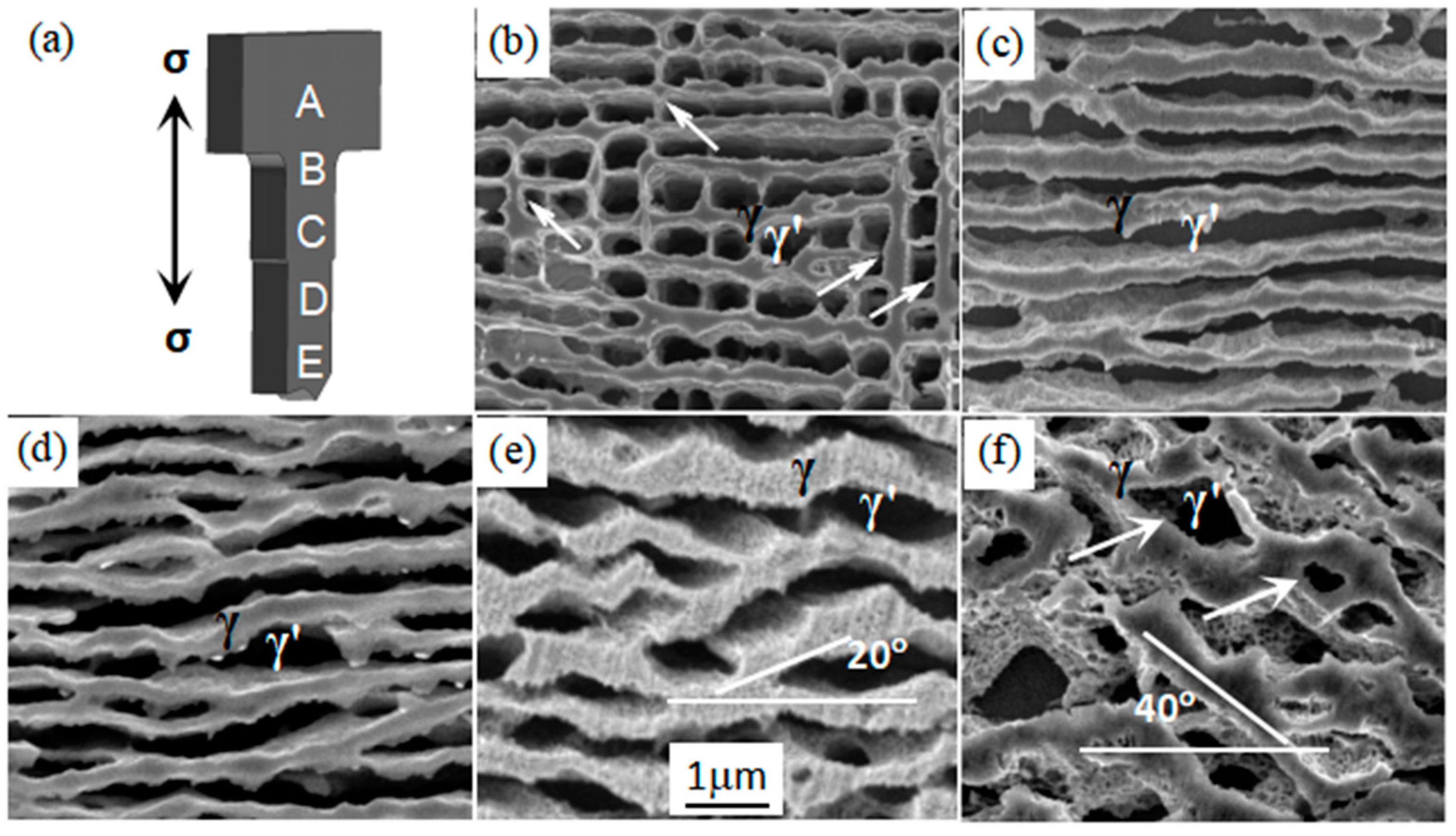 Crystals 15 00370 g005