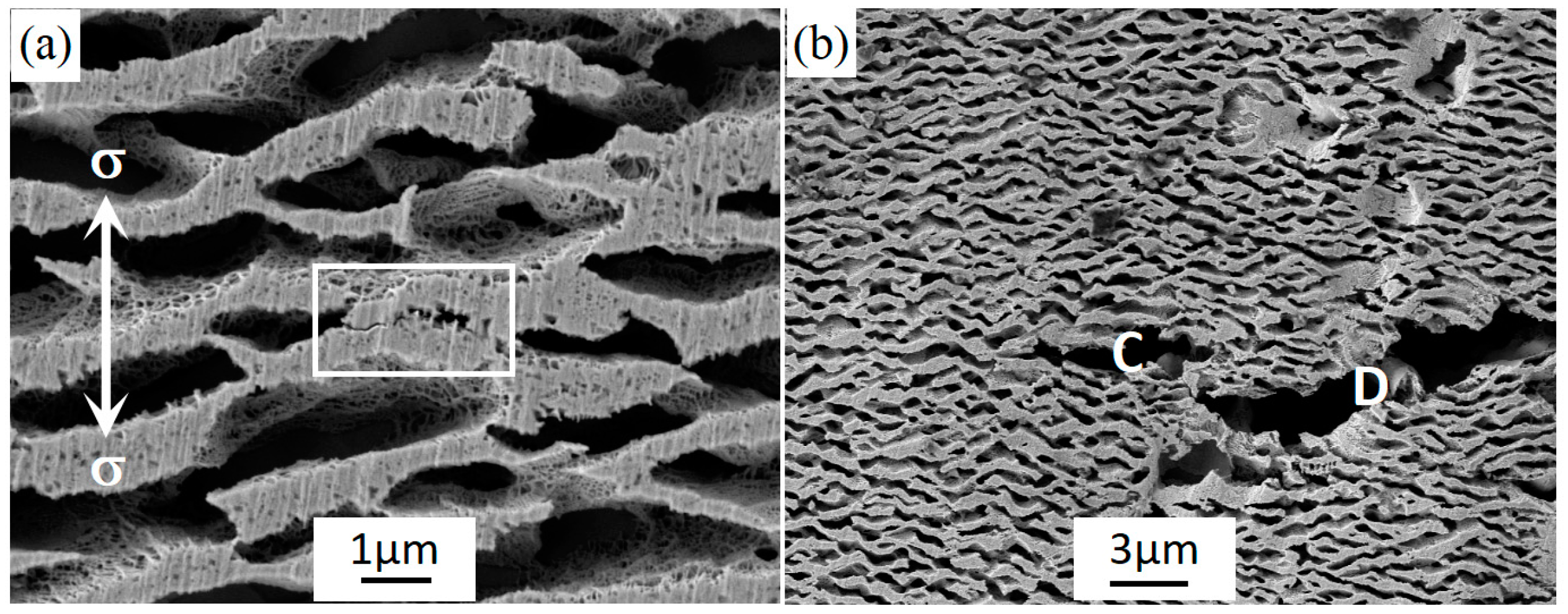 Crystals 15 00370 g009