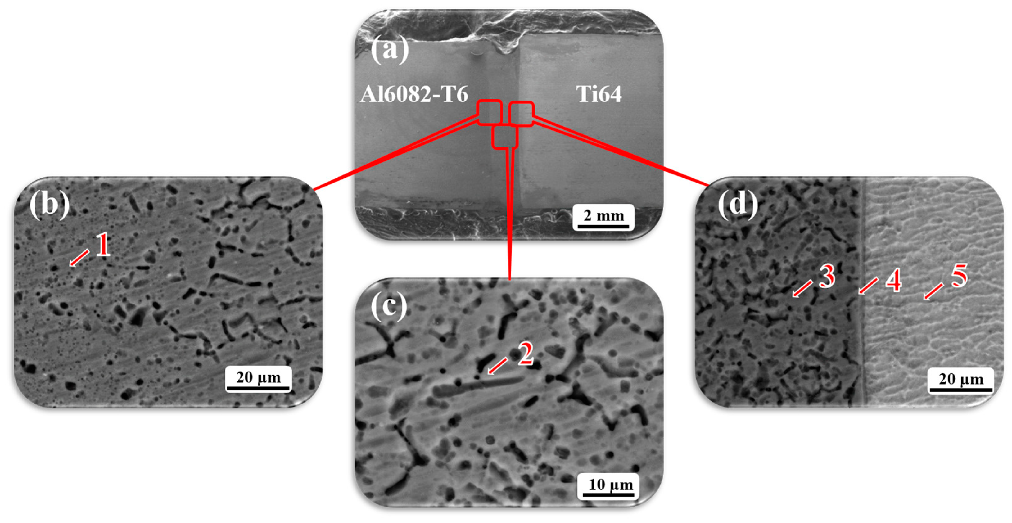 Crystals 15 00373 g003