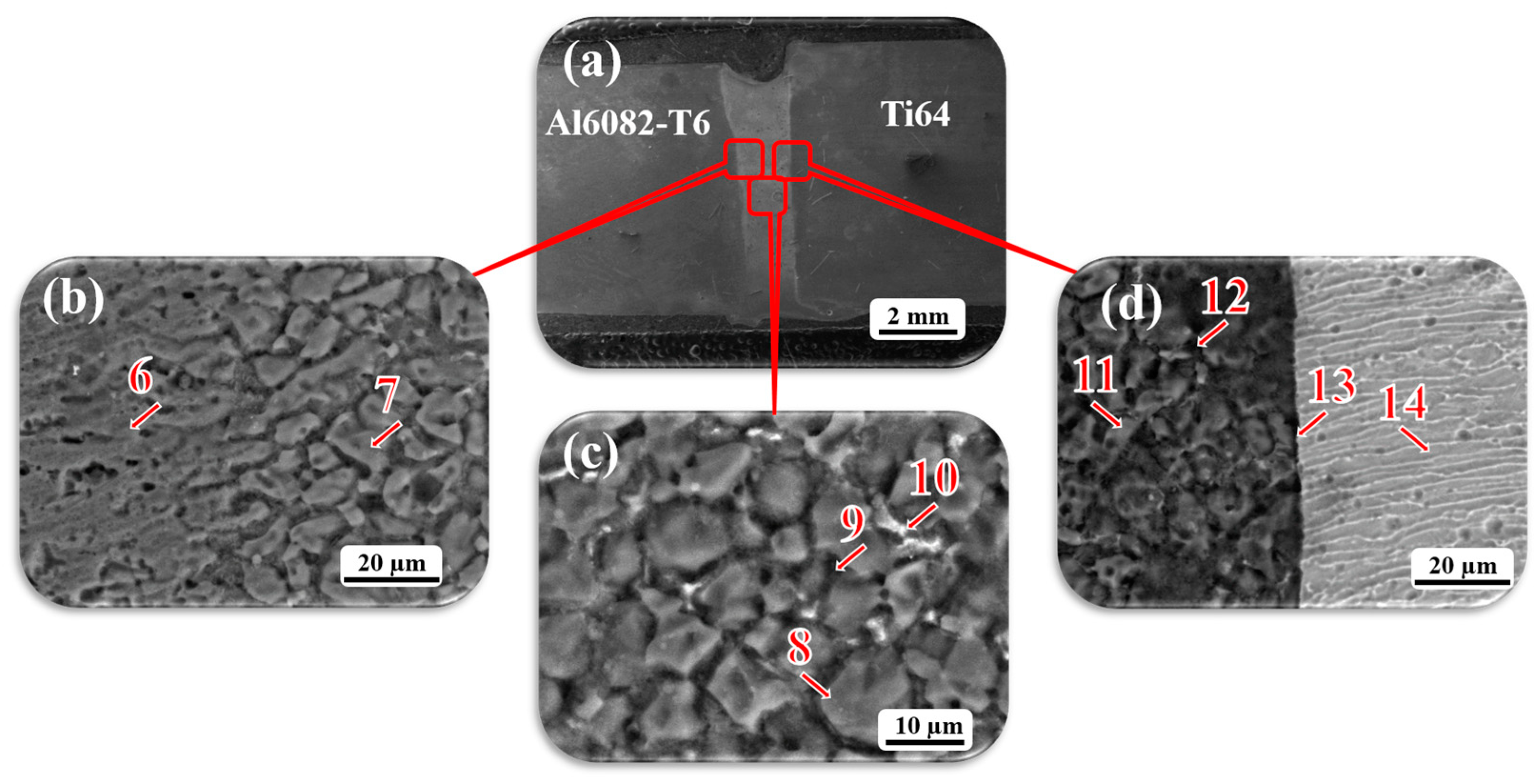 Crystals 15 00373 g004