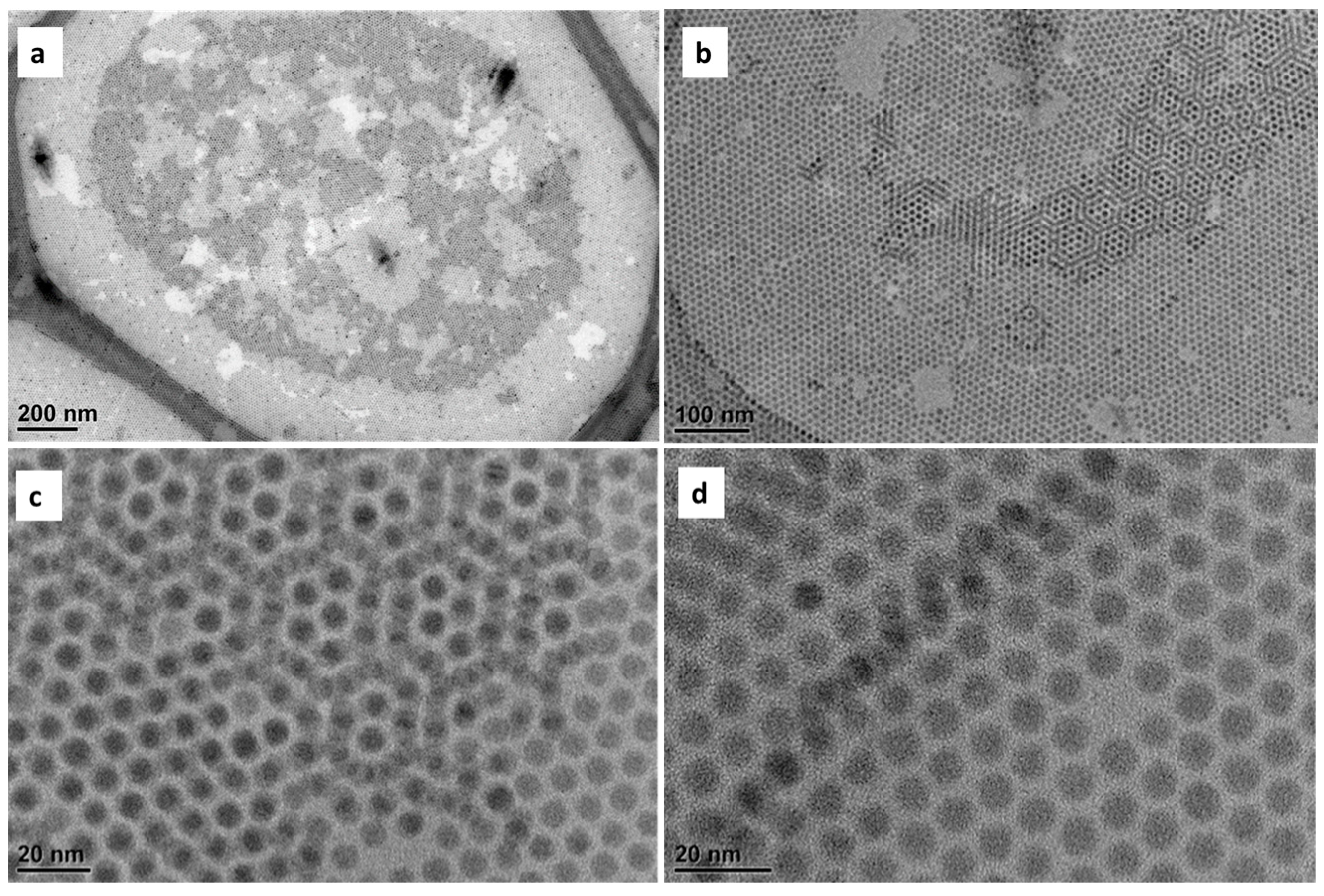 Crystals 15 00387 g003