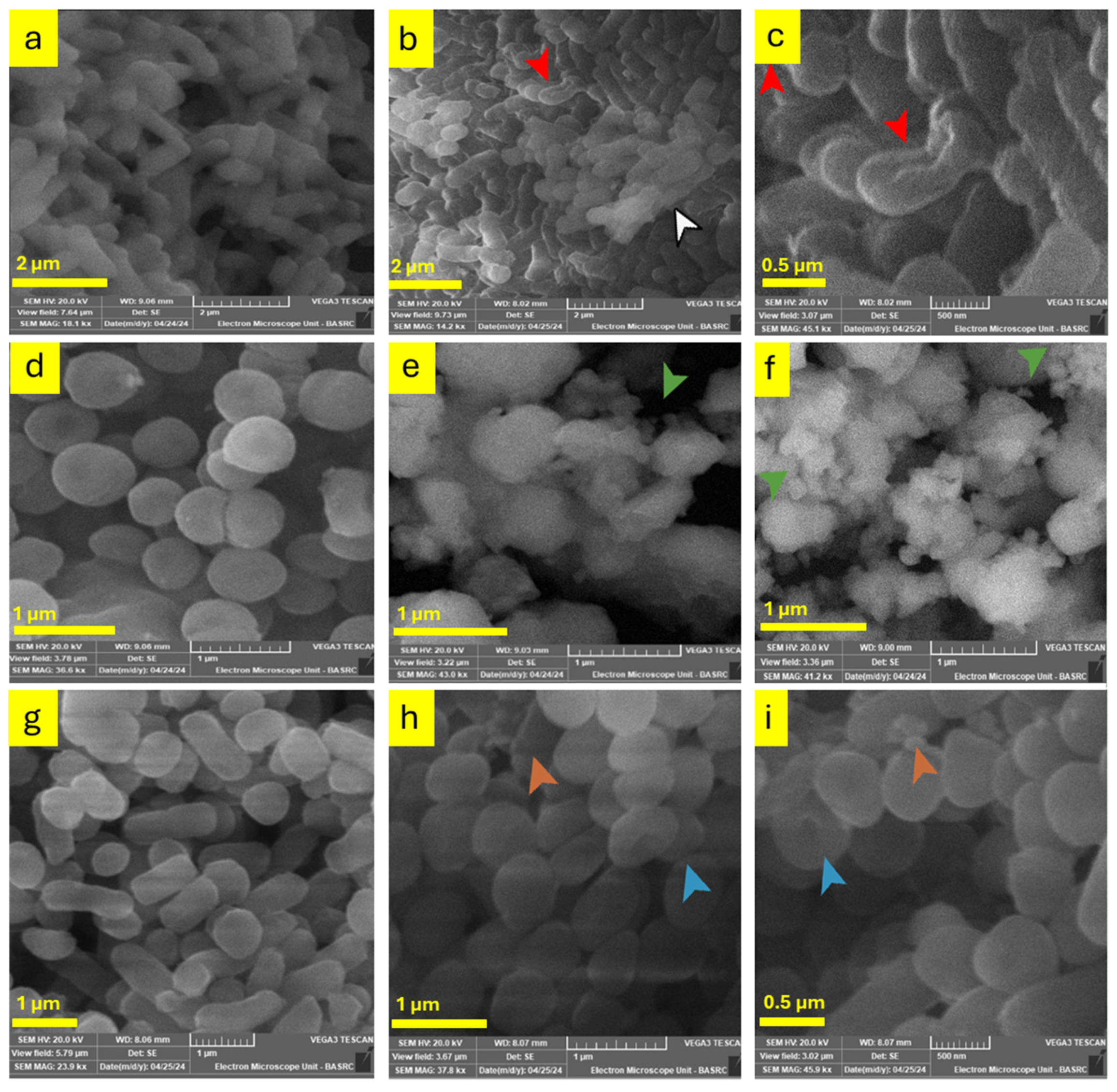 Crystals 15 00397 g021