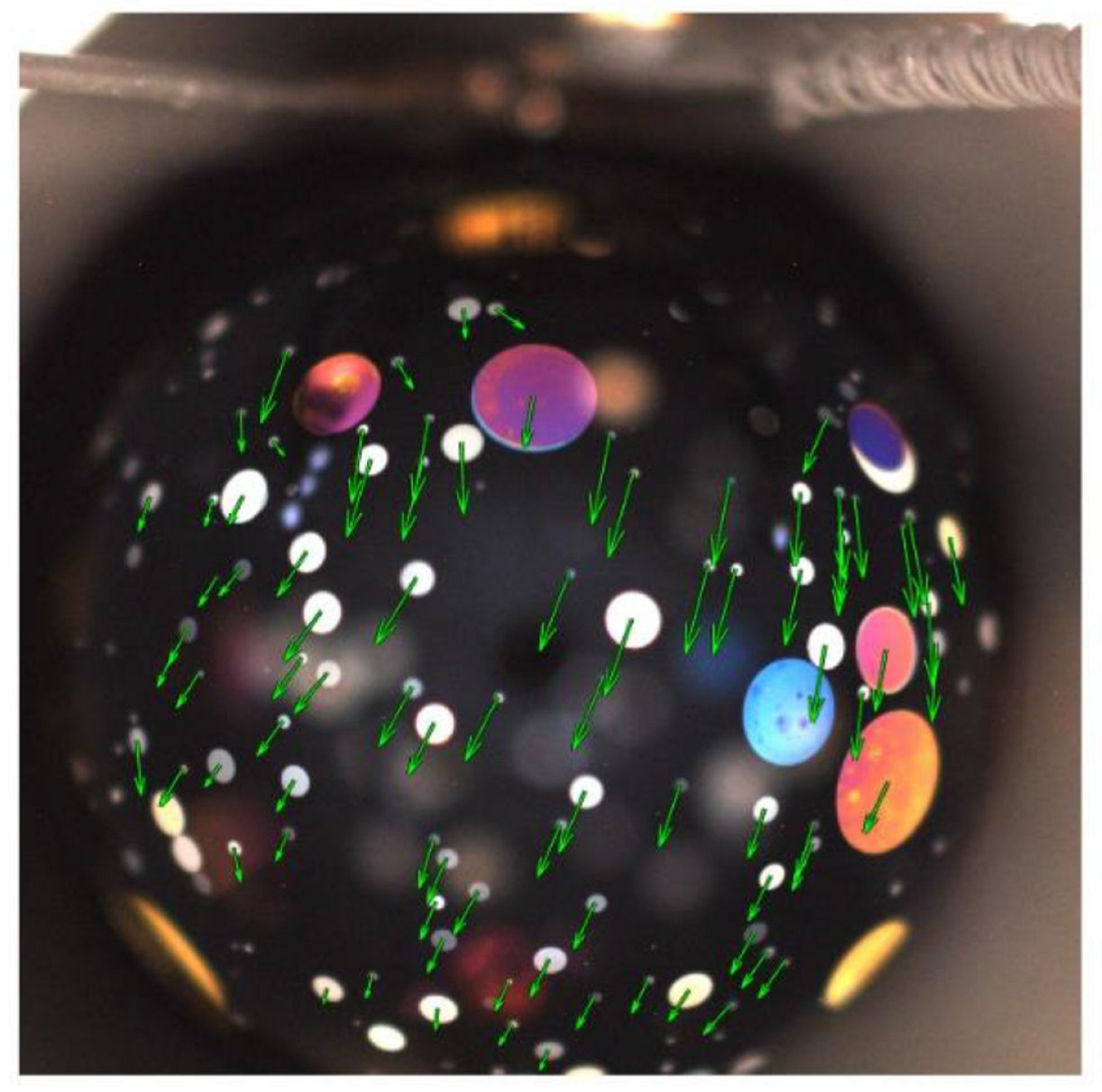 Crystals 15 00416 g008