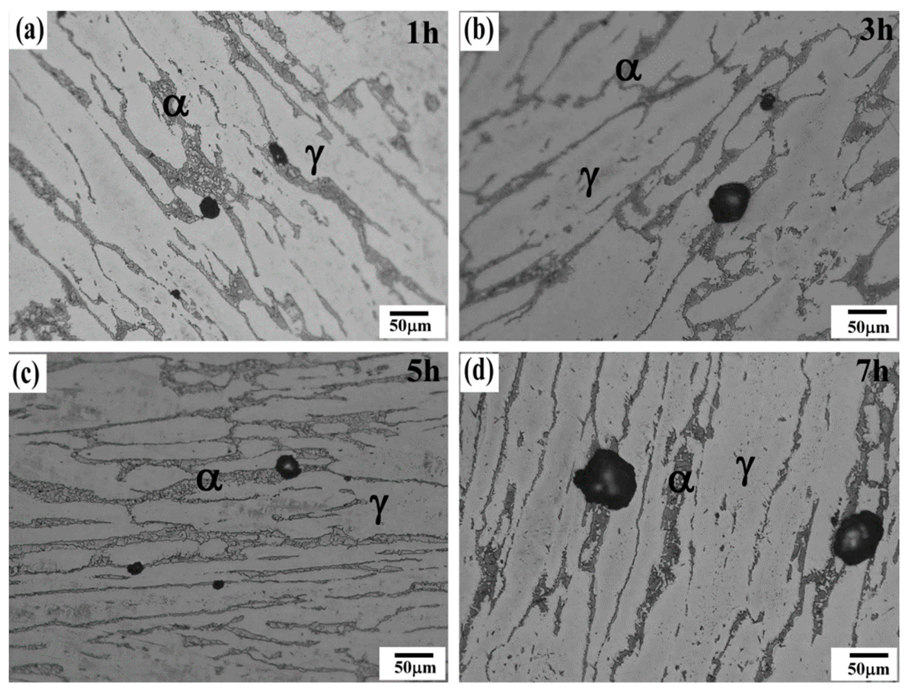 Crystals 15 00419 g008