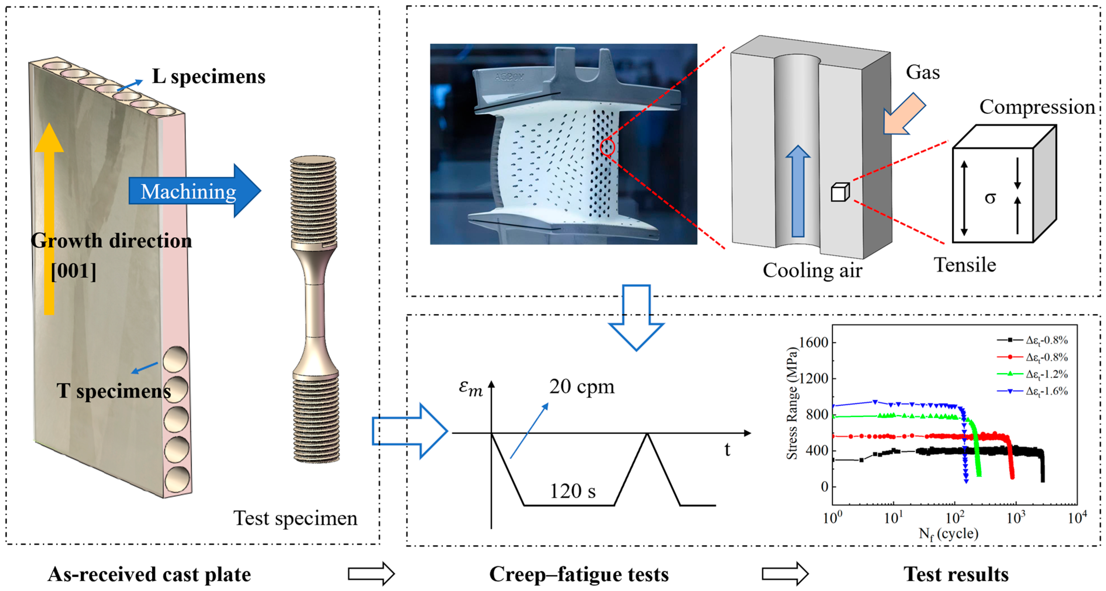 春早割 Behaviors Creep–Fatigue the in Anisotropy of Directionally a その他