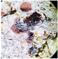 Crystals 15 00430 i006