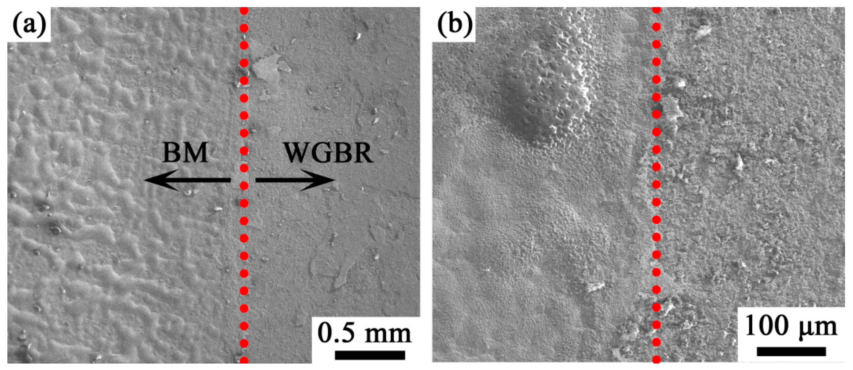 Crystals 15 00434 g005