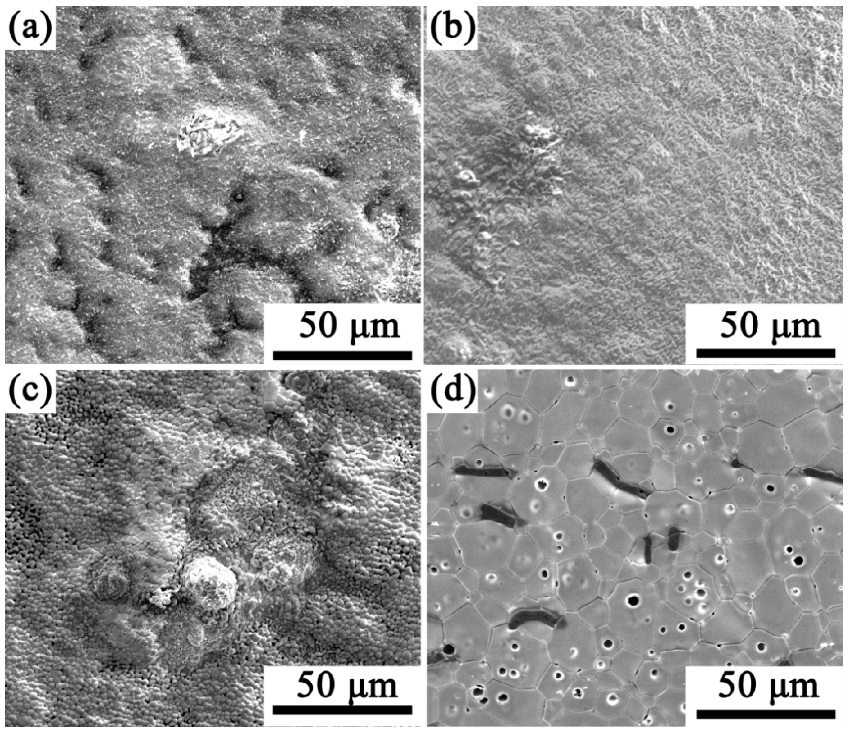 Crystals 15 00434 g006