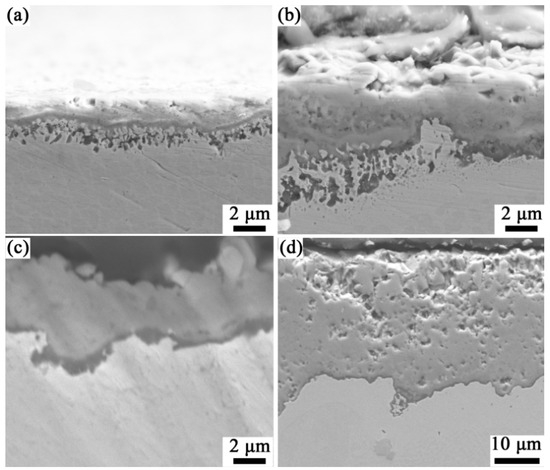 Microstructural Investigation and High-Temperature Oxidation