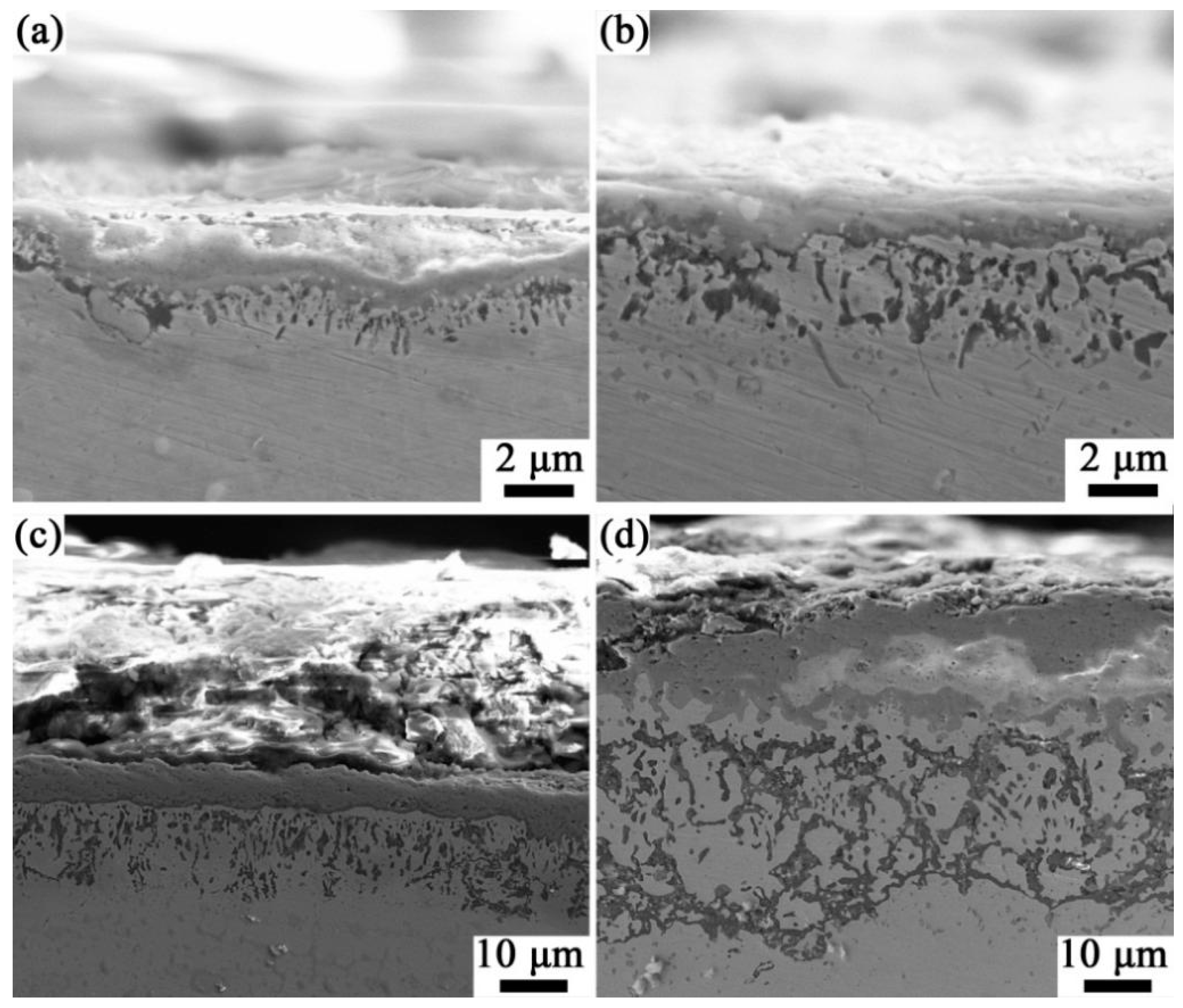 Crystals 15 00434 g010
