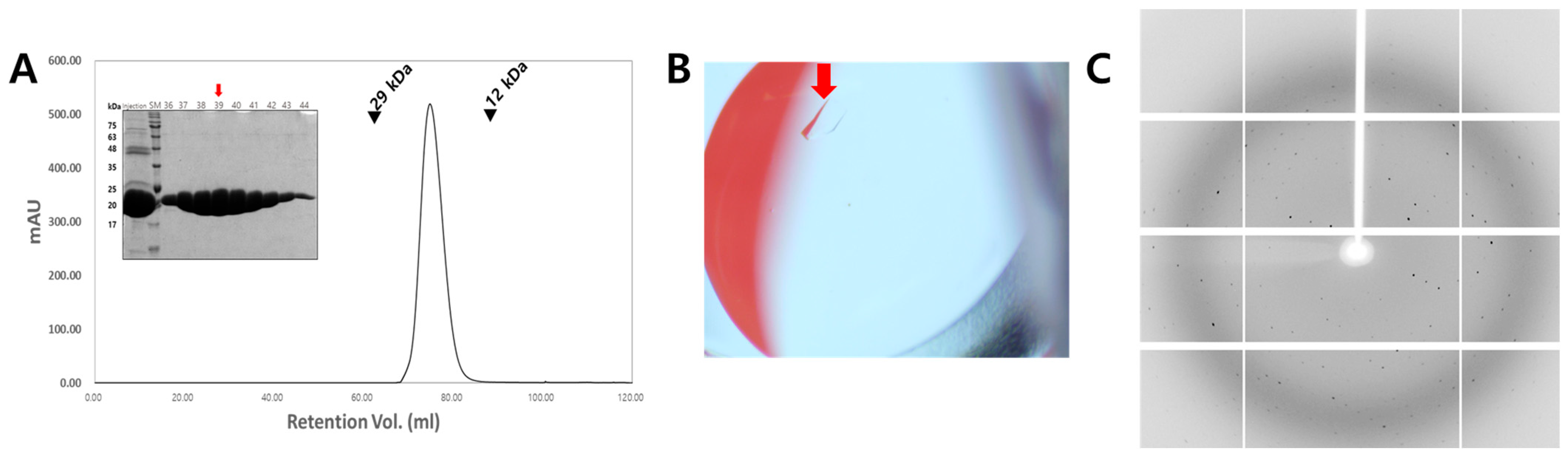 Crystals 15 00448 g001