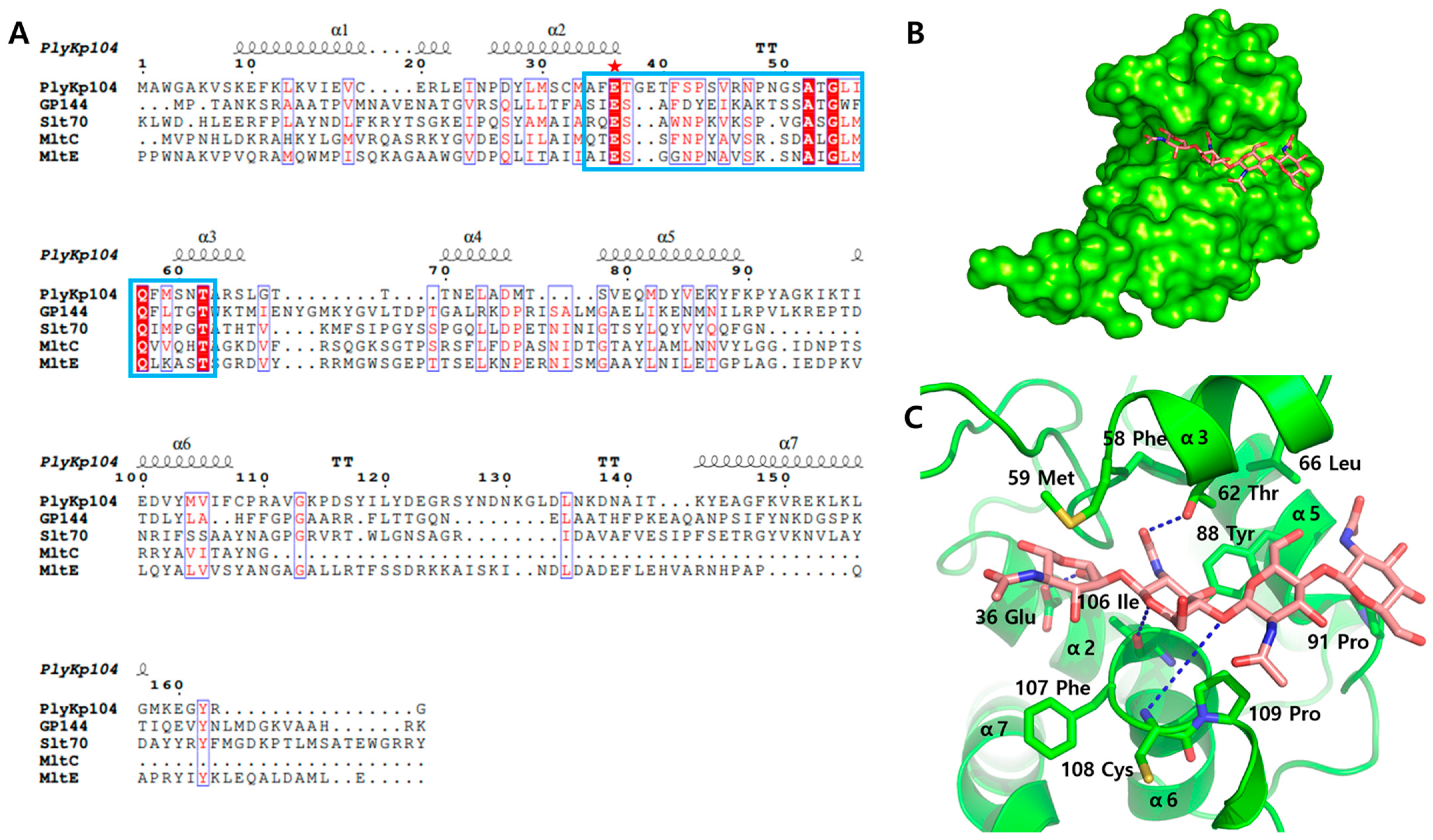 Crystals 15 00448 g003