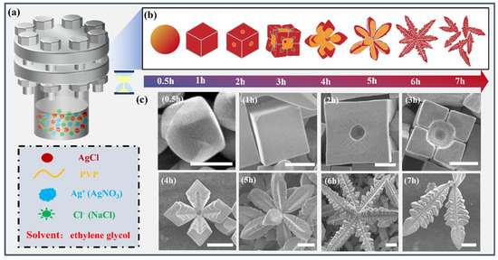 Shape-Engineering and Mechanism Investigation of AgCl Microcrystals