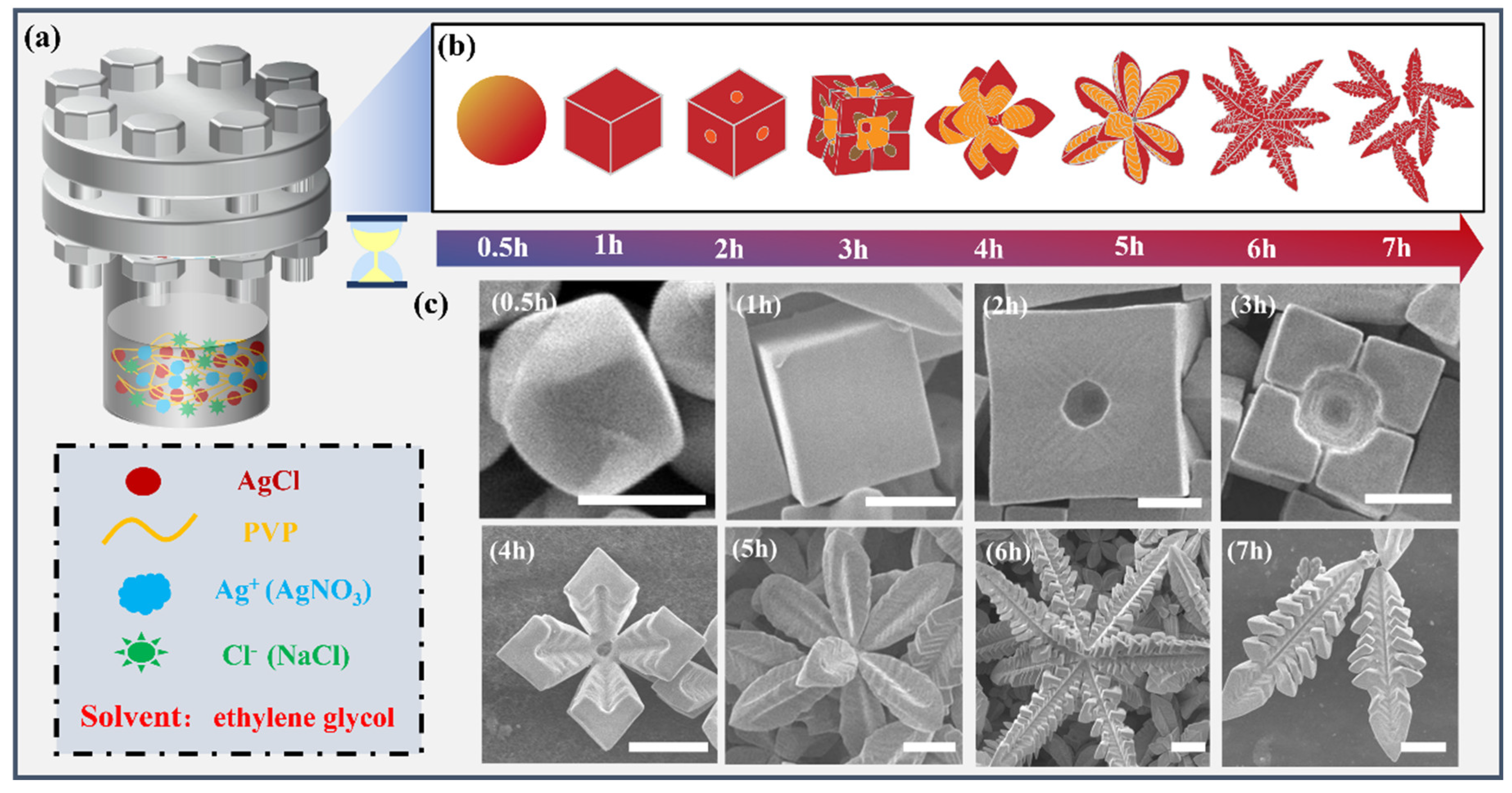 Crystals 15 00451 g001