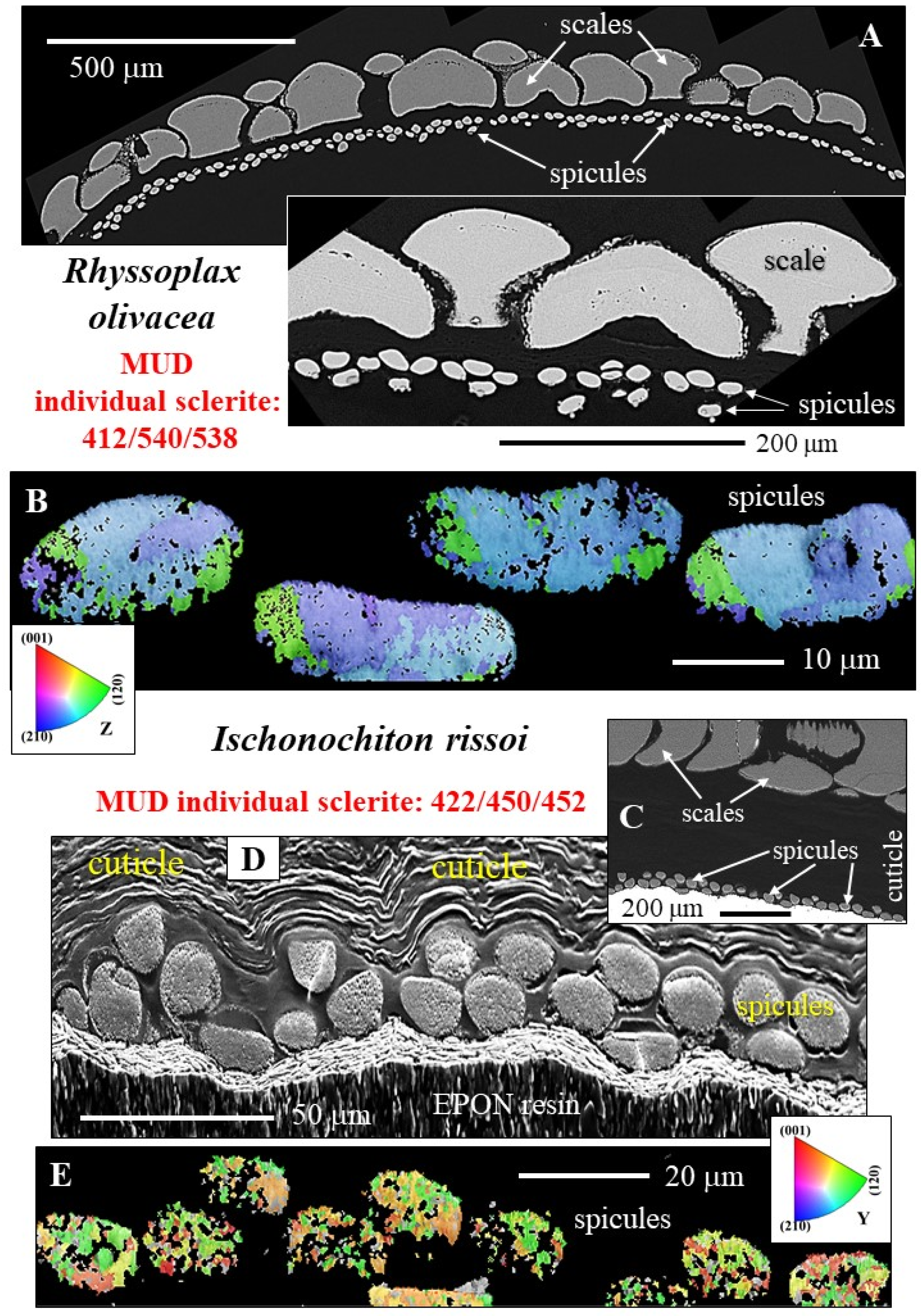 Crystals 15 00466 g003