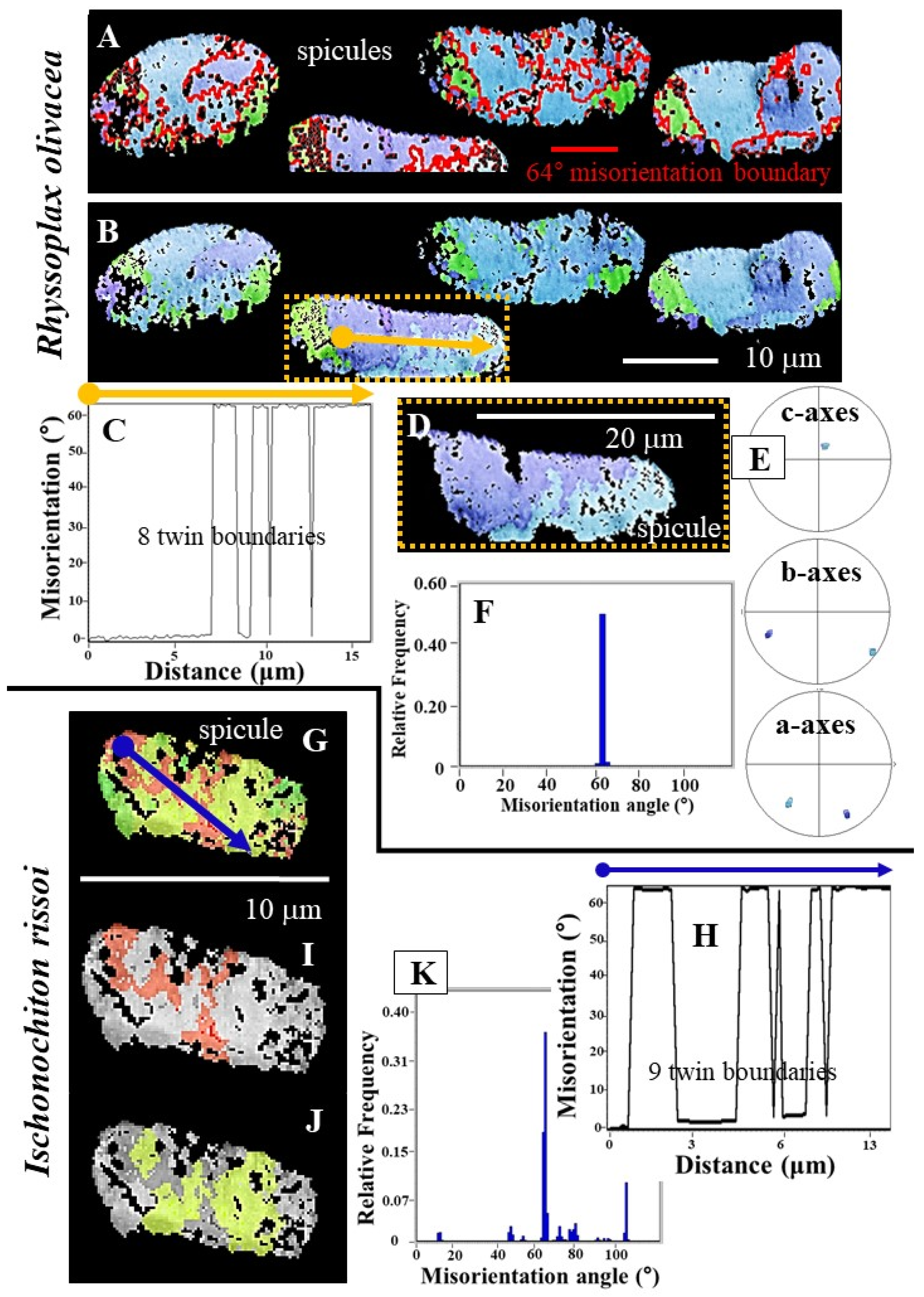 Crystals 15 00466 g005