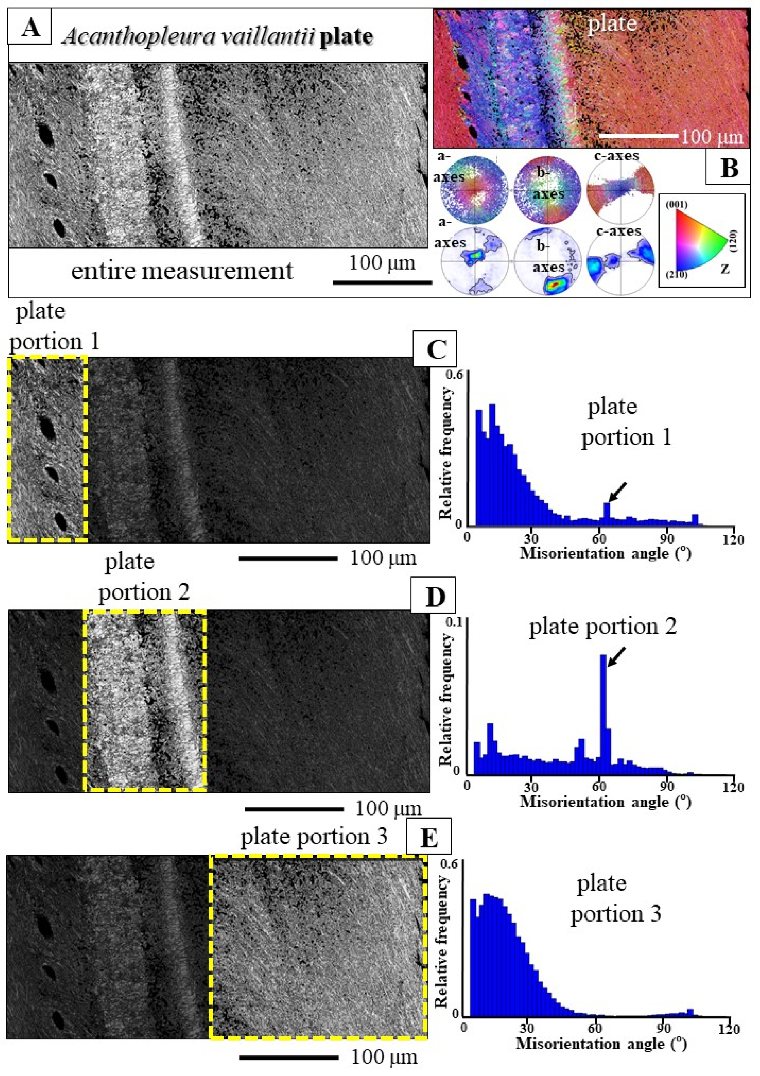 Crystals 15 00466 g010