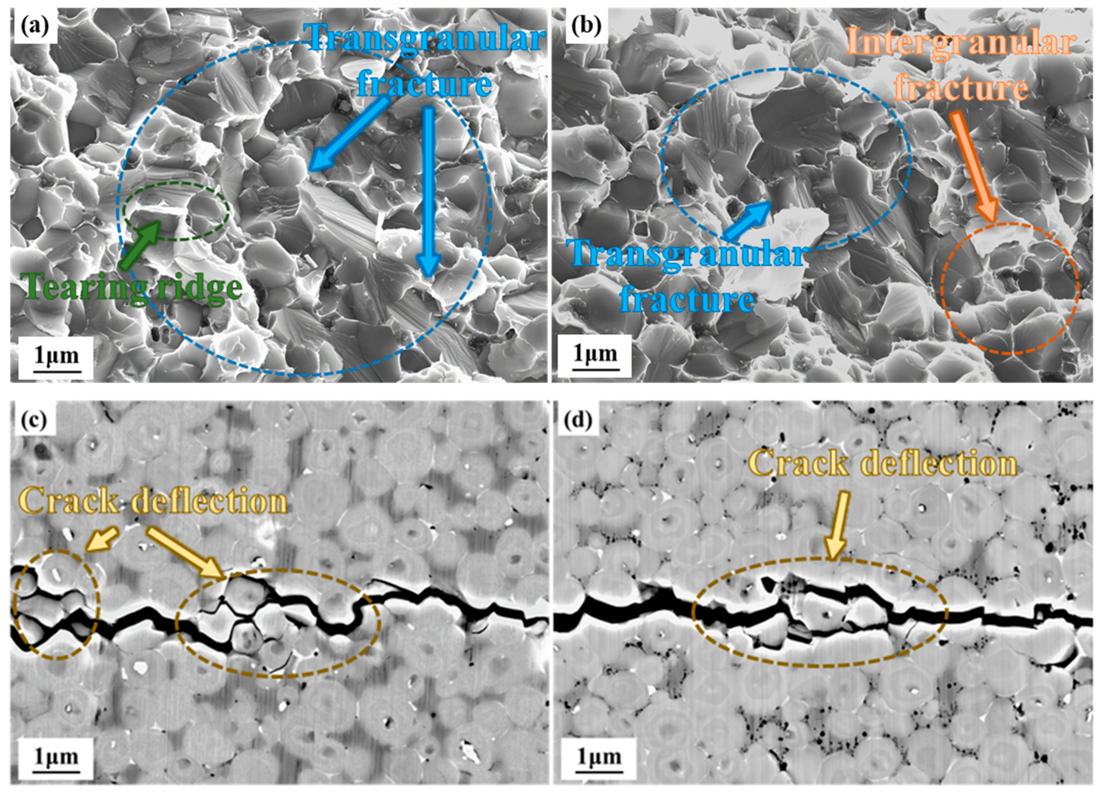 Crystals 15 00479 g008