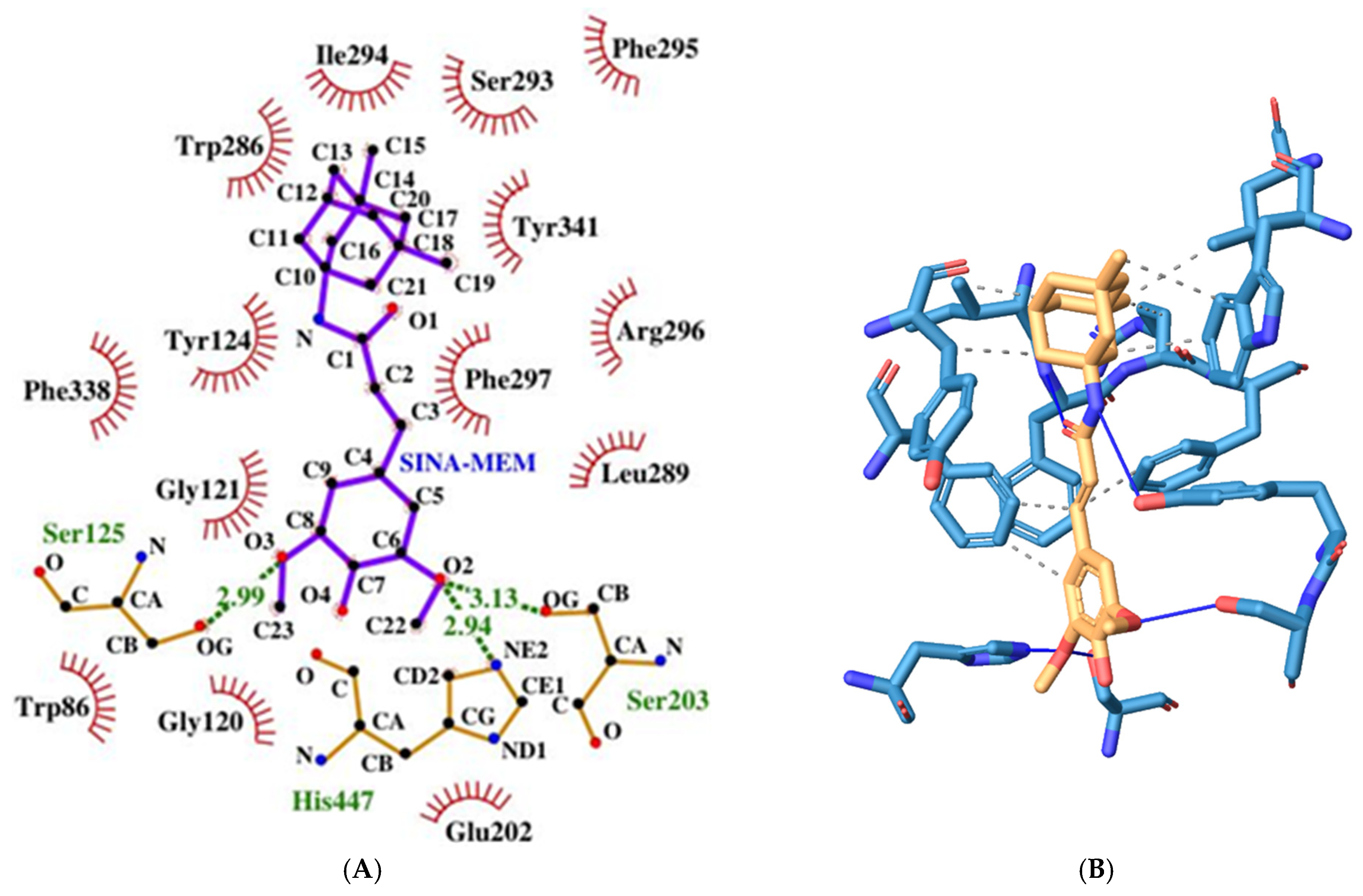 Crystals 15 00491 g005