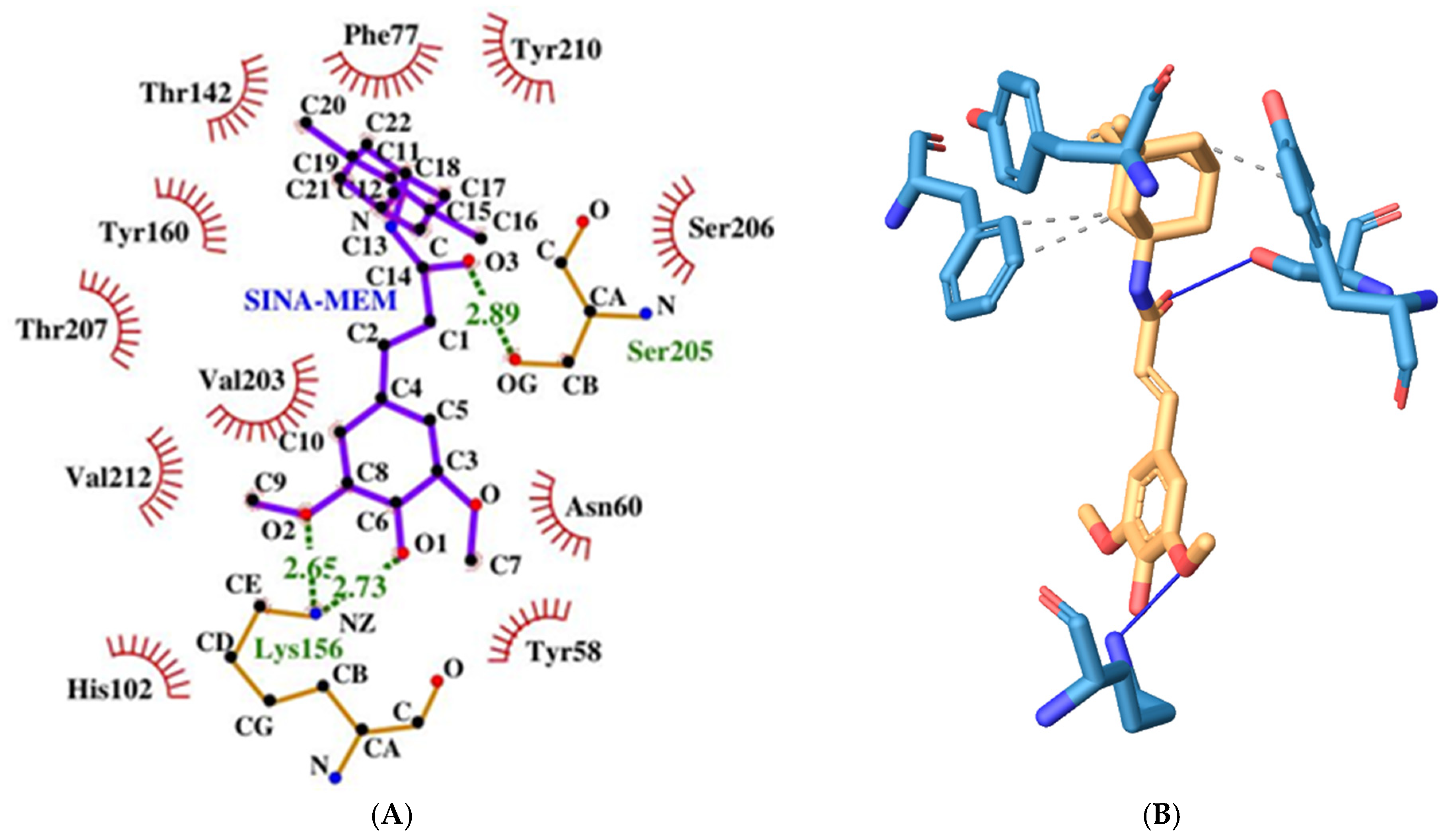 Crystals 15 00491 g013