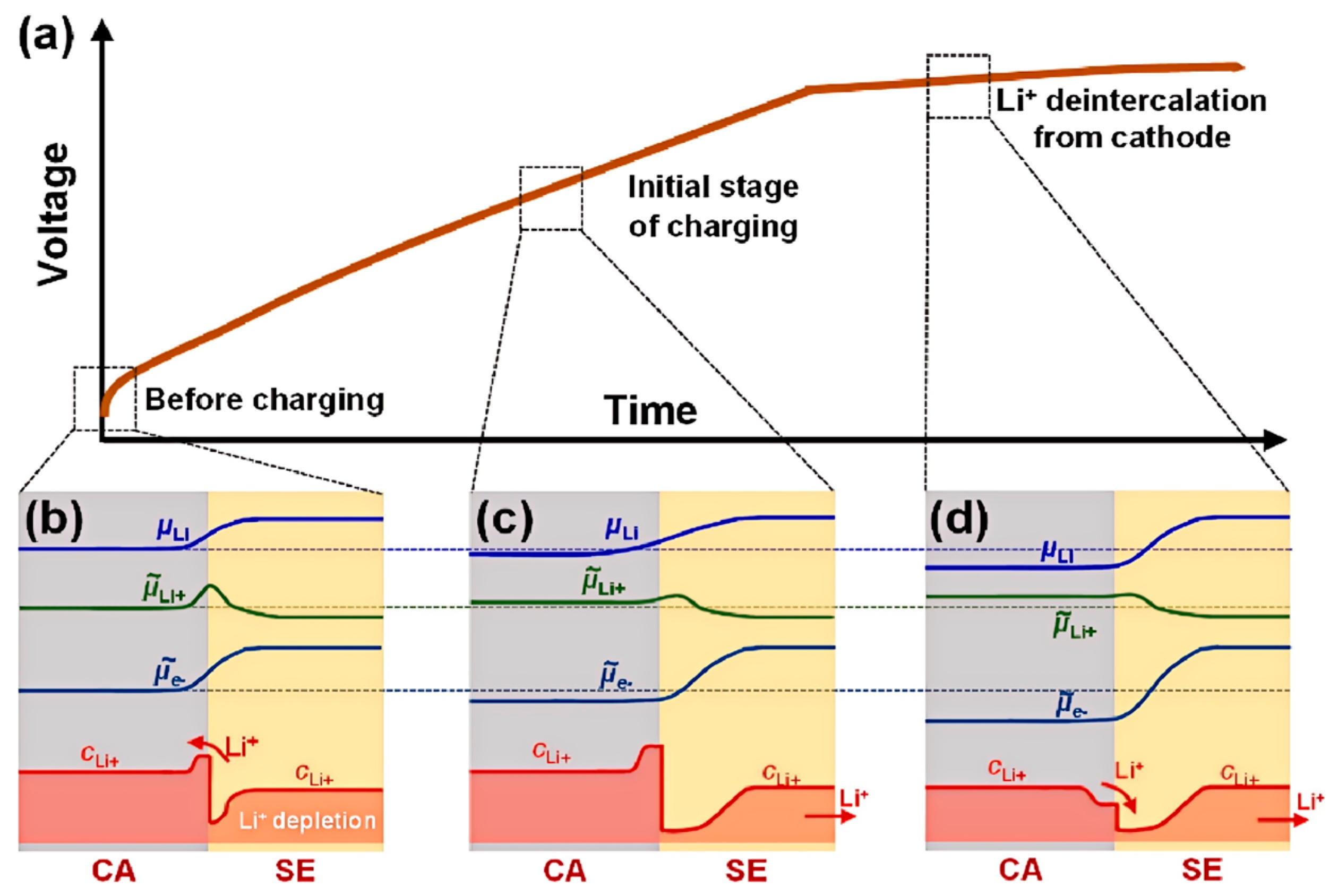 Crystals 15 00492 g005