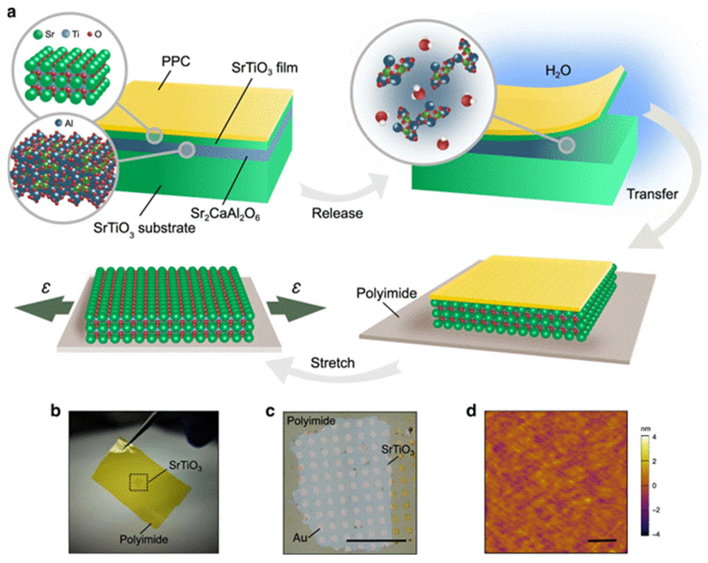 Crystals 15 00496 g005