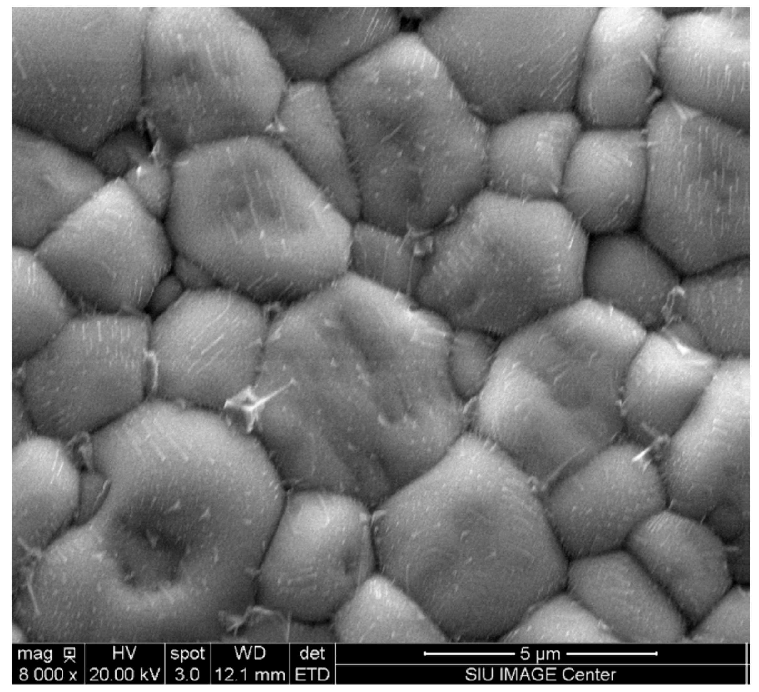 Crystals 15 00524 g004