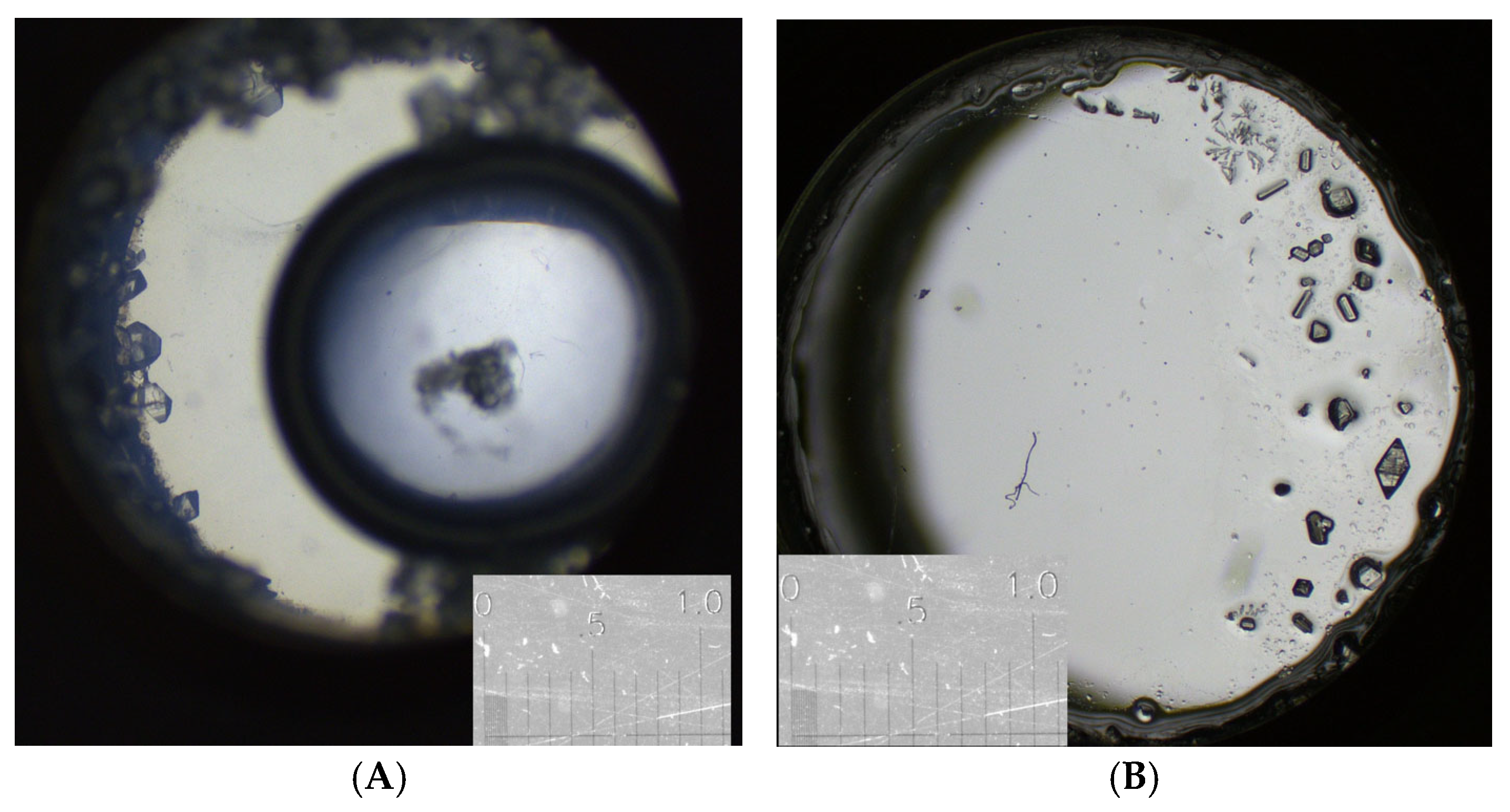 Crystals 15 00527 g003