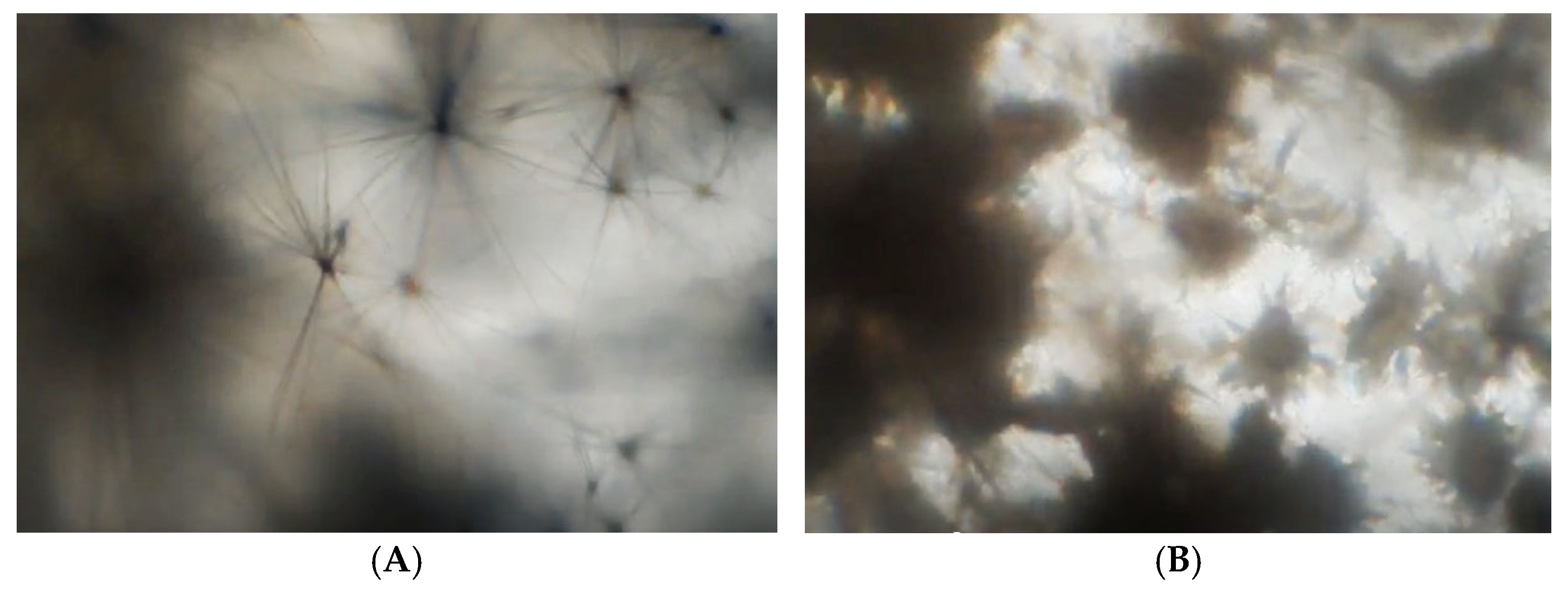 Crystals 15 00527 g007