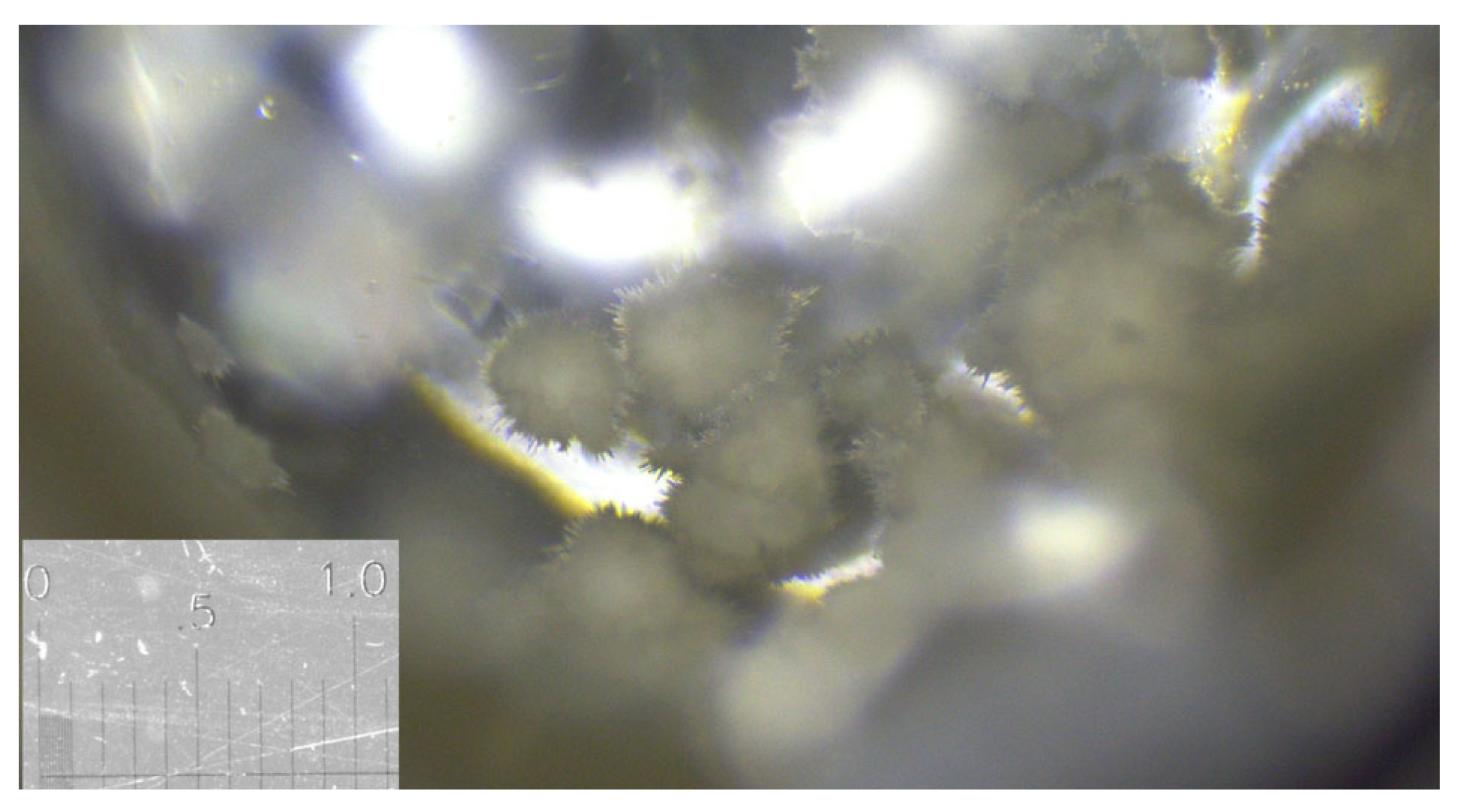 Crystals 15 00527 g008