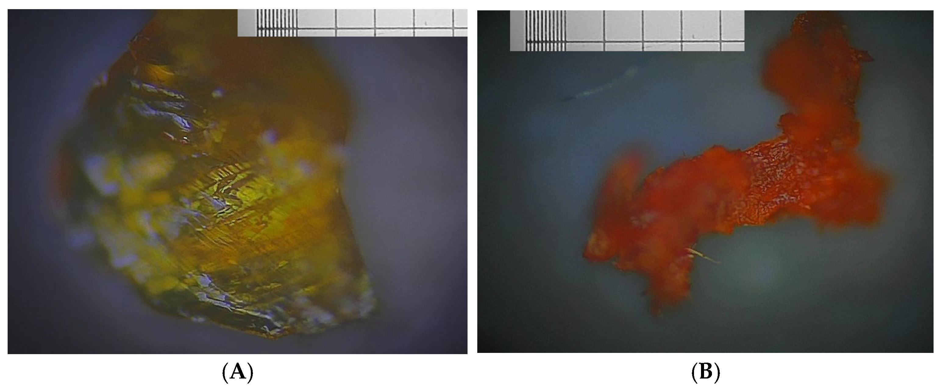 Crystals 15 00527 g013