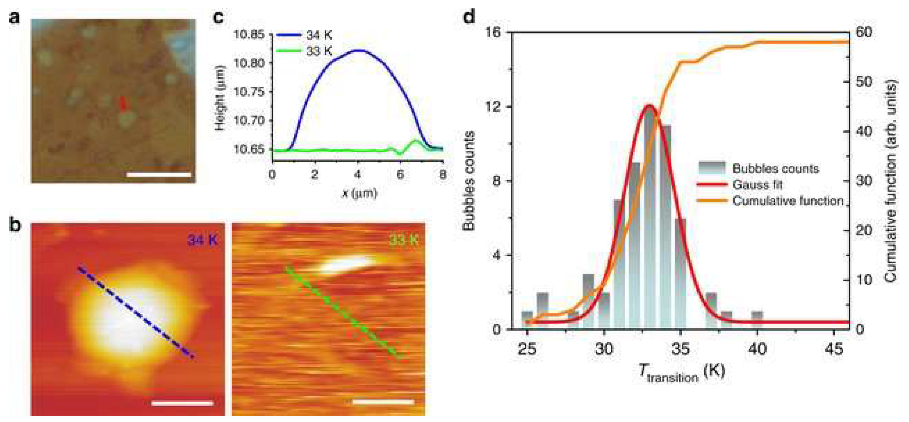 Crystals 15 00536 g006