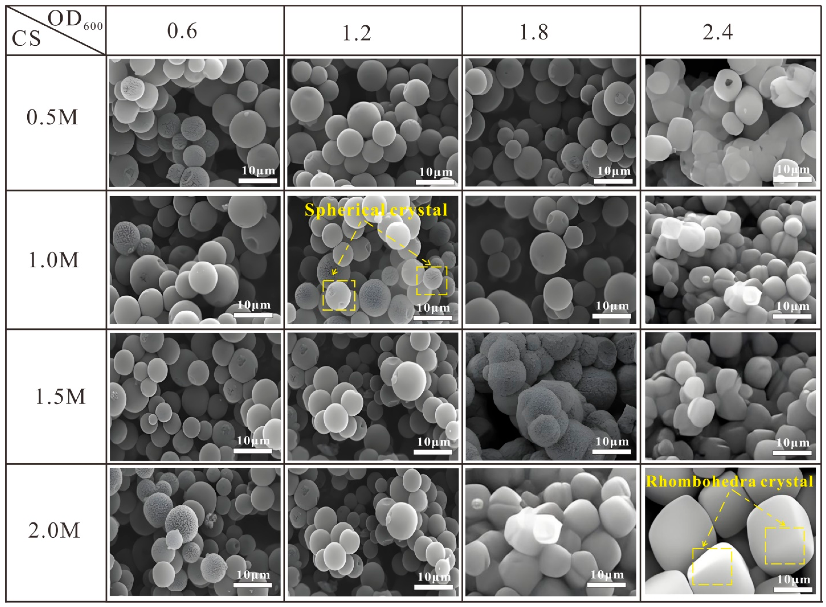 Crystals 15 00540 g004