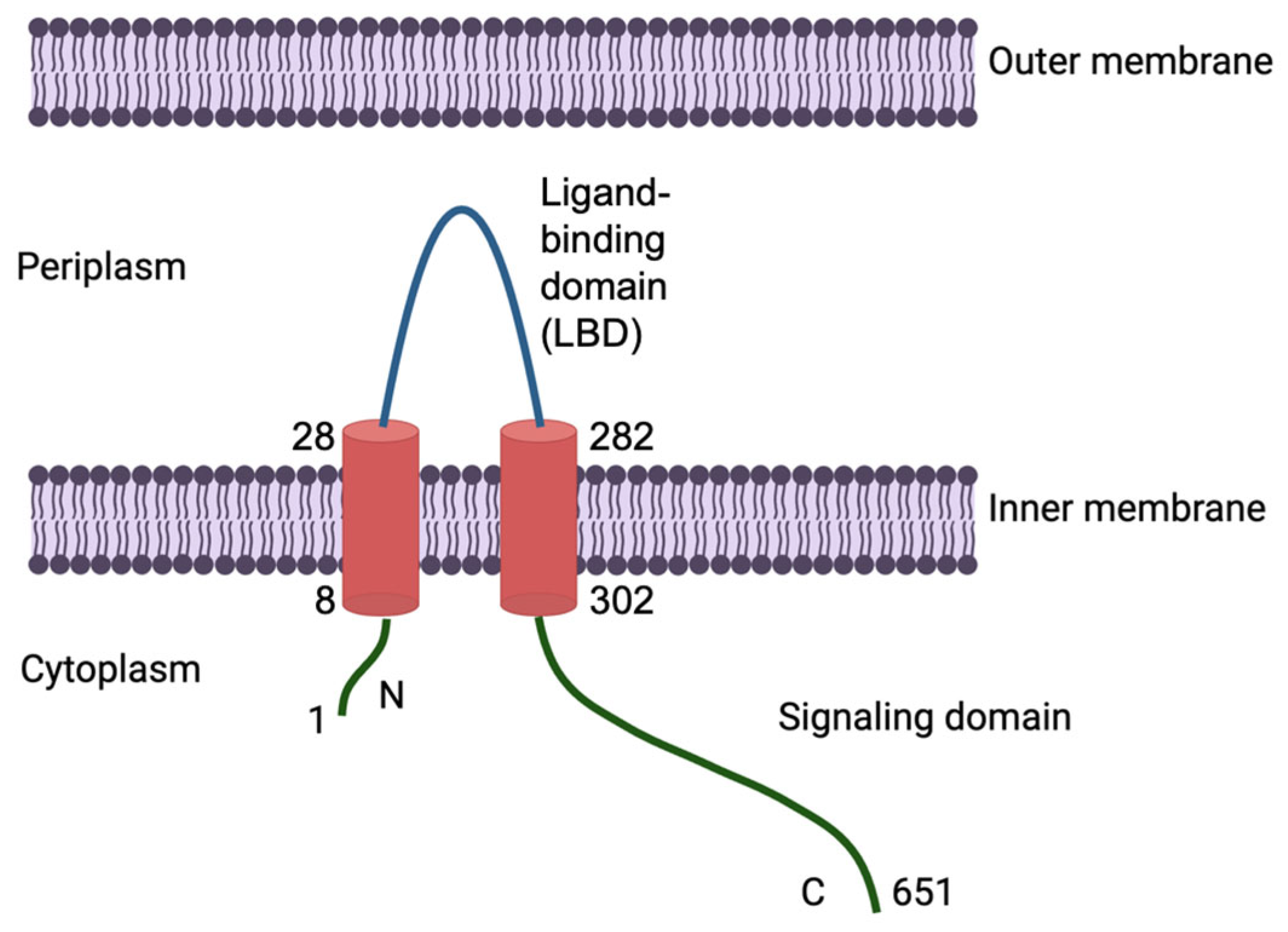 Crystals 15 00542 g001