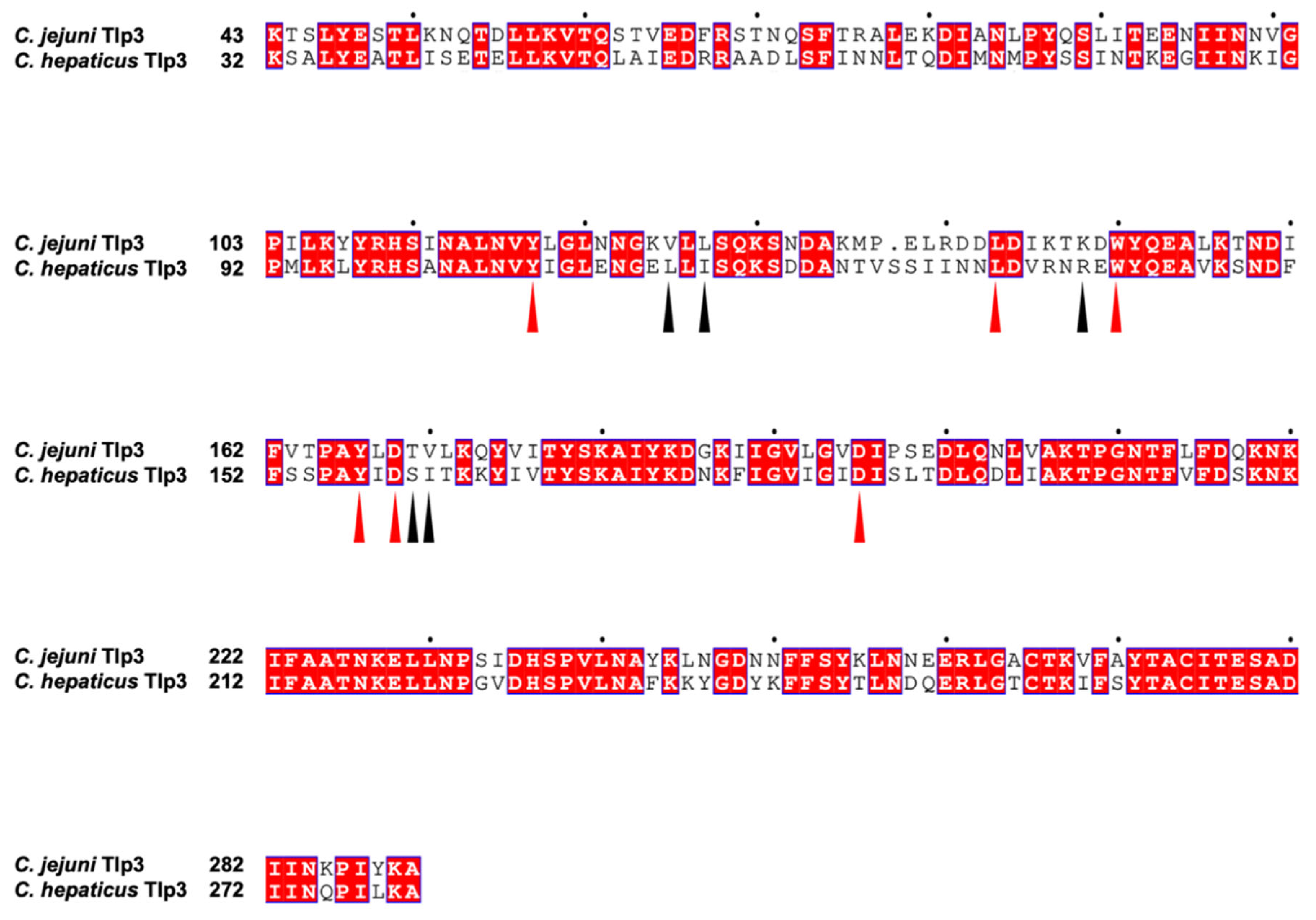 Crystals 15 00542 g0a1