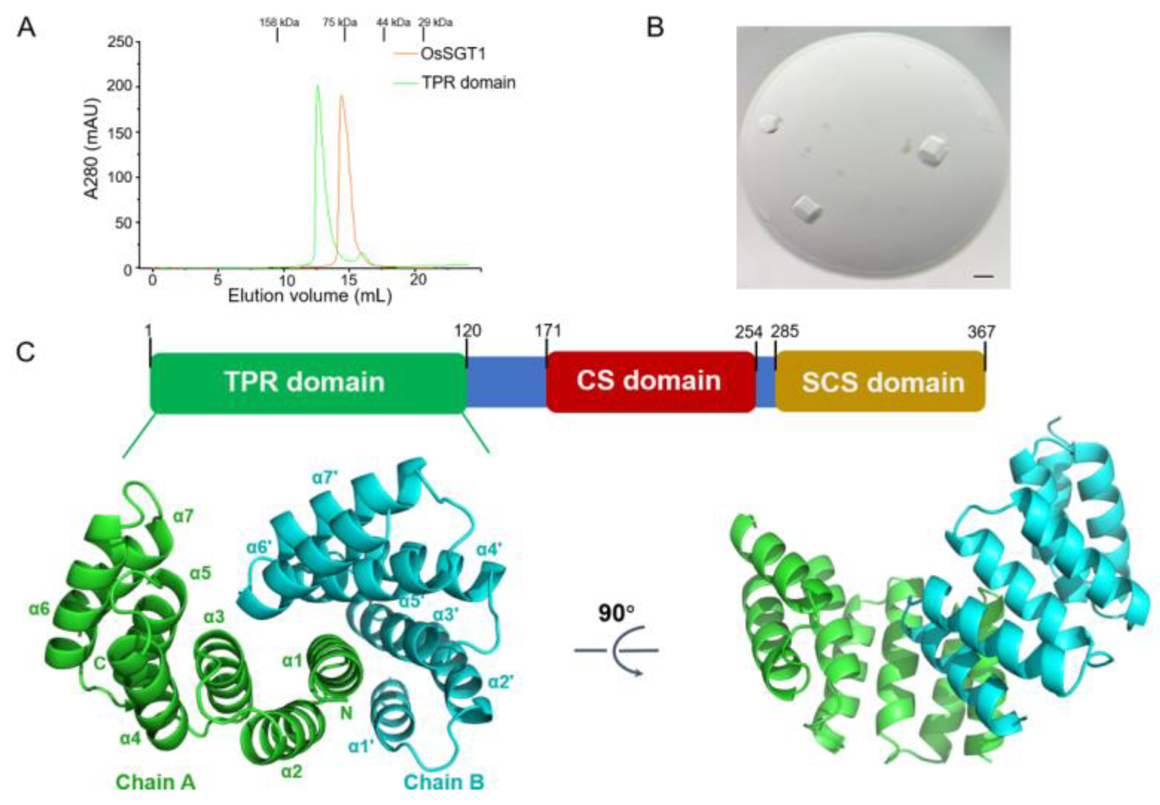 Crystals 15 00543 g001