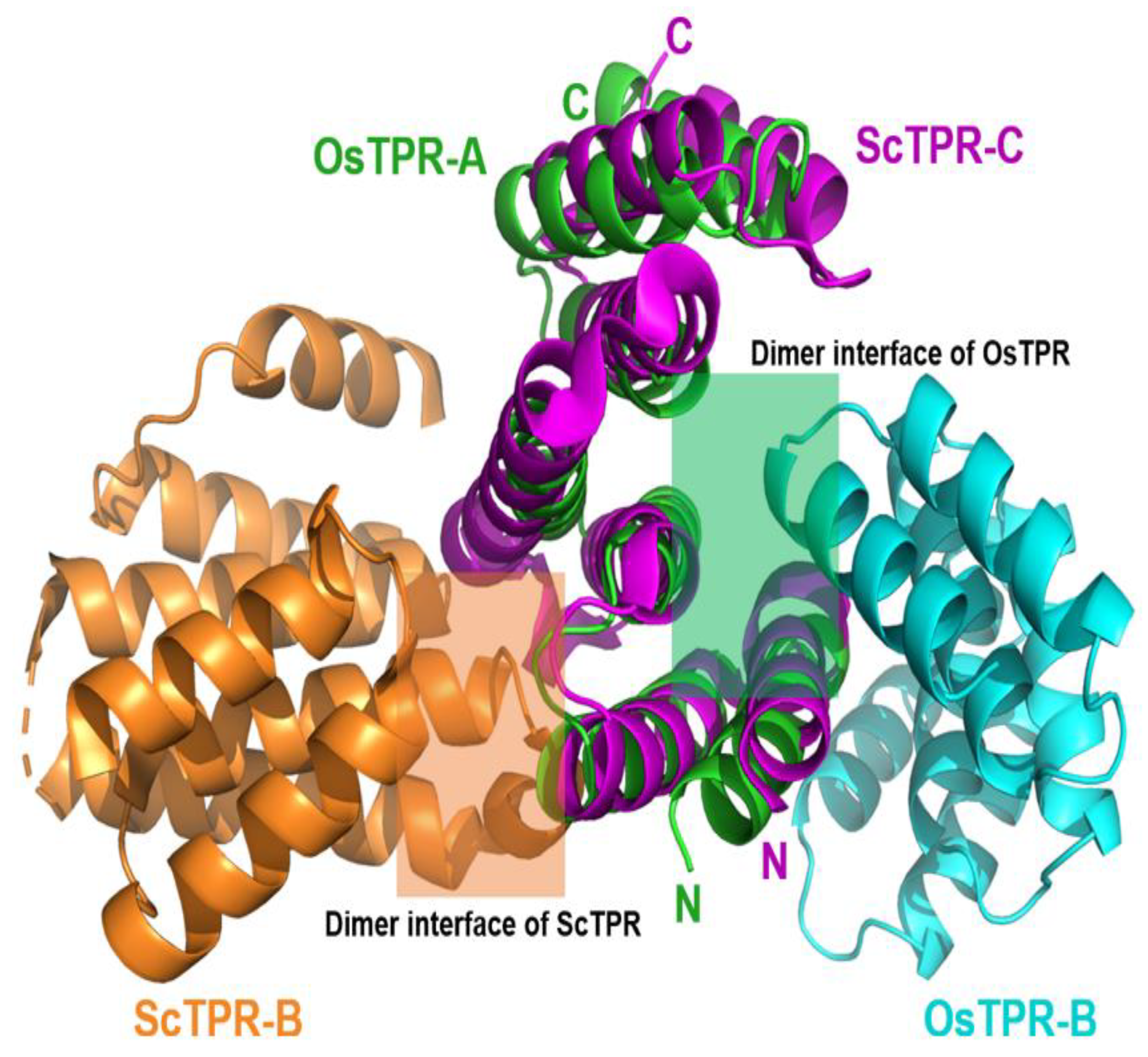 Crystals 15 00543 g002