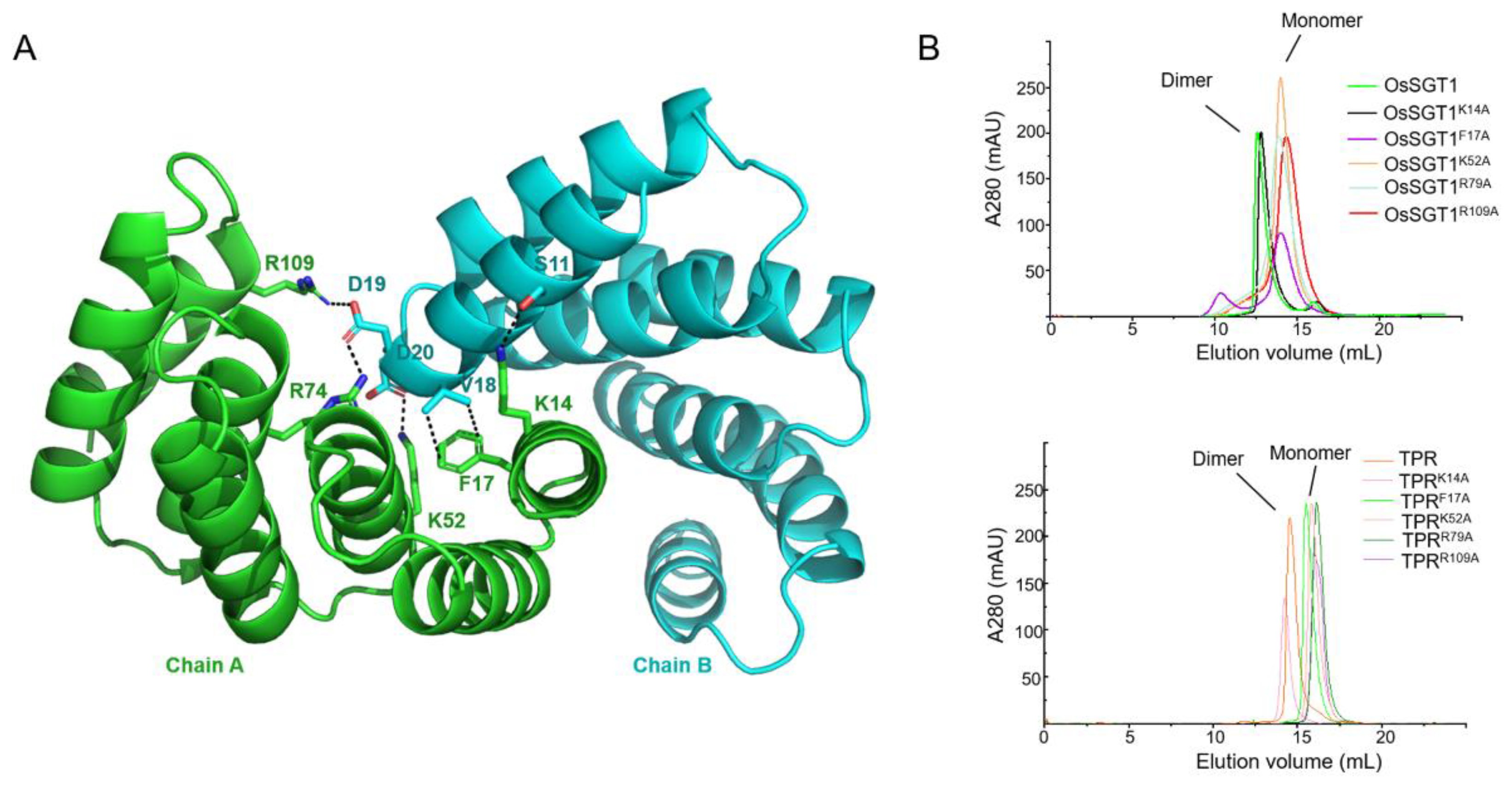 Crystals 15 00543 g003